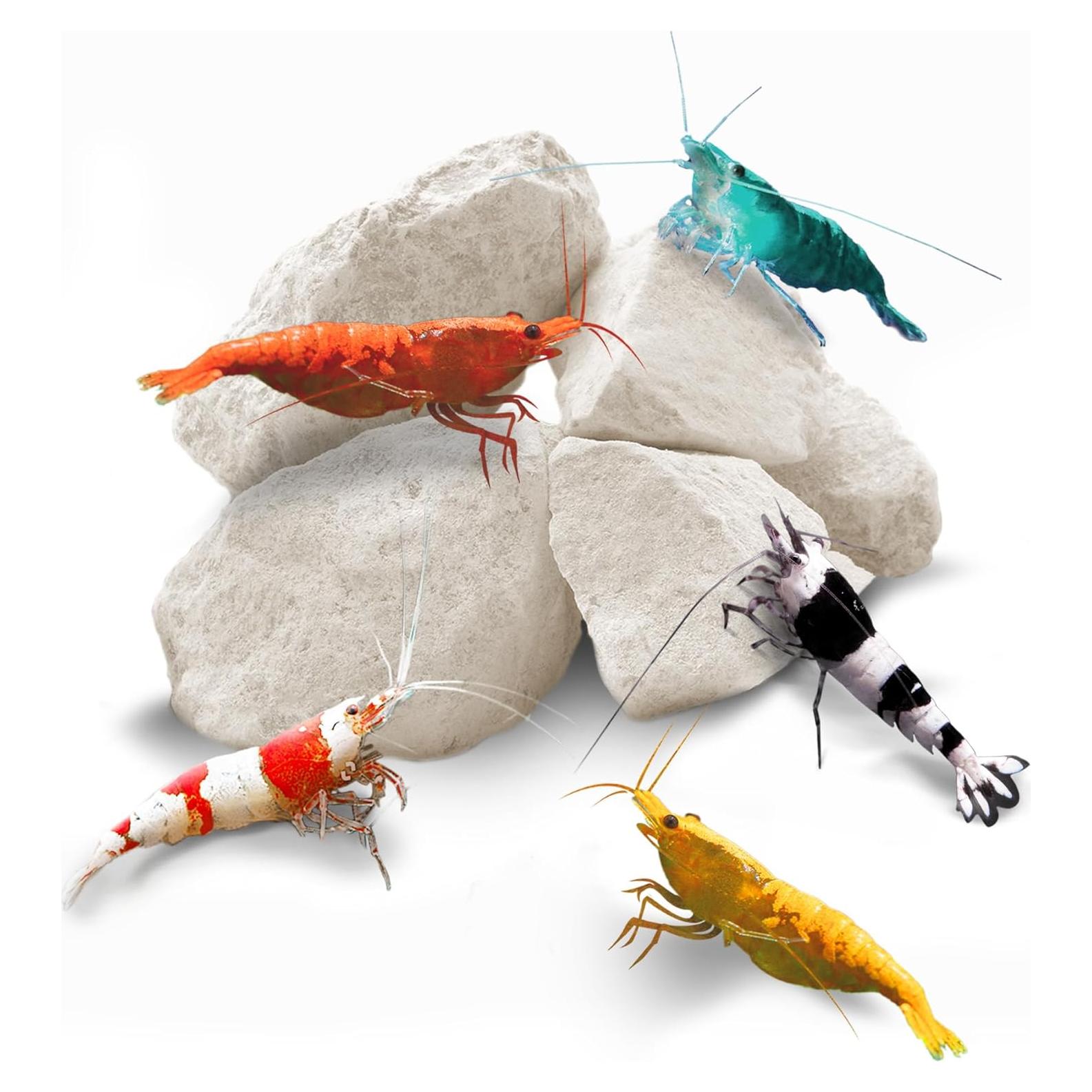 Rocas Minerales SunGrow para Acuarios 56.7g - Calcio y Magnesio