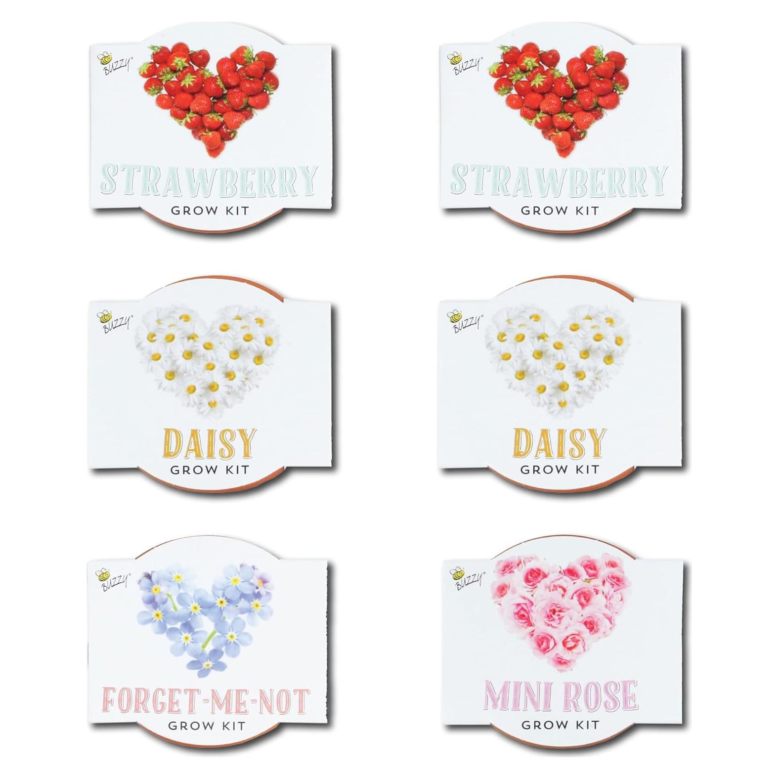 Kit de Semillas en Macetas de Terracota Buzzy - 6 Piezas