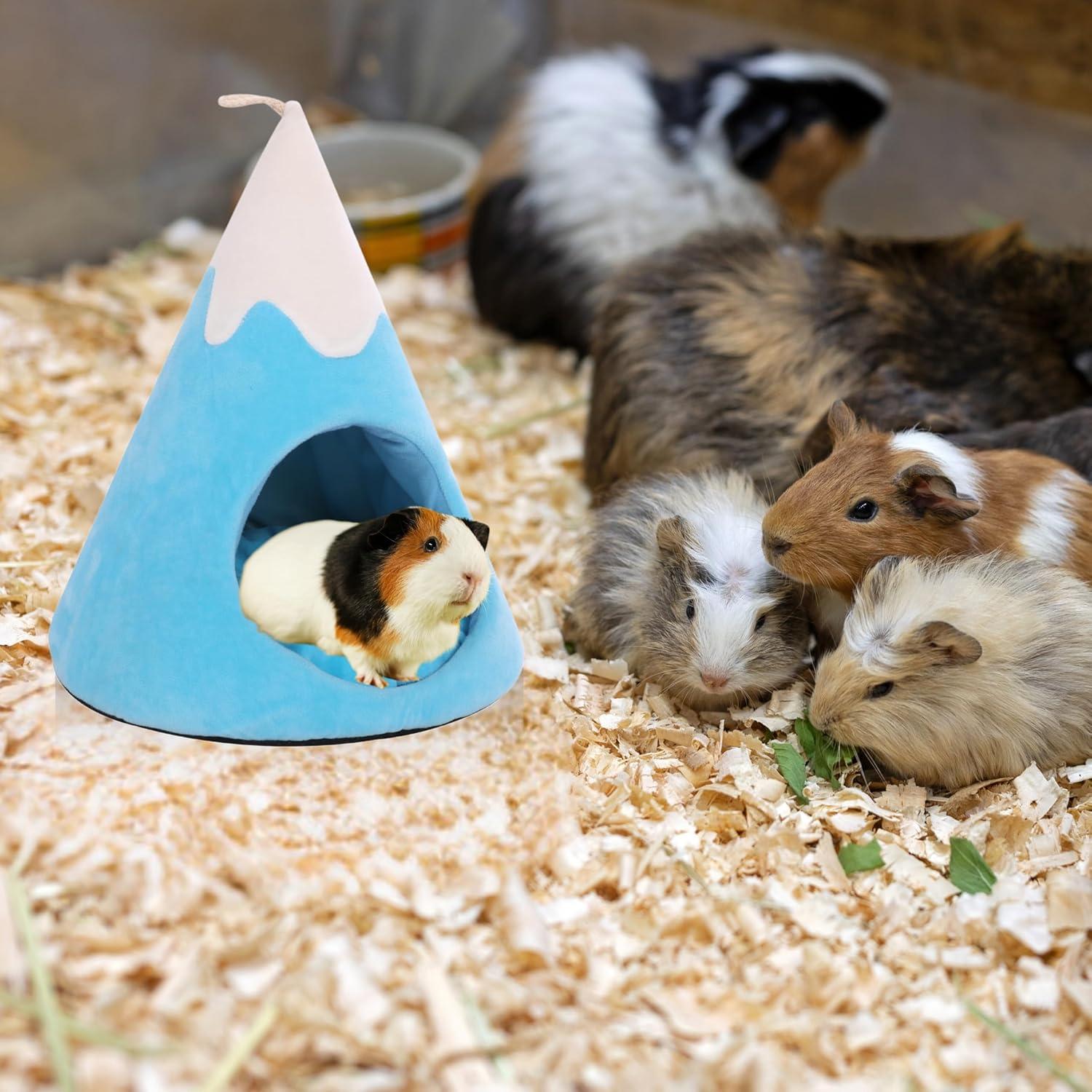 Casa para Cobayas The Kozko Hut - Refugio Polar 34x30 cm