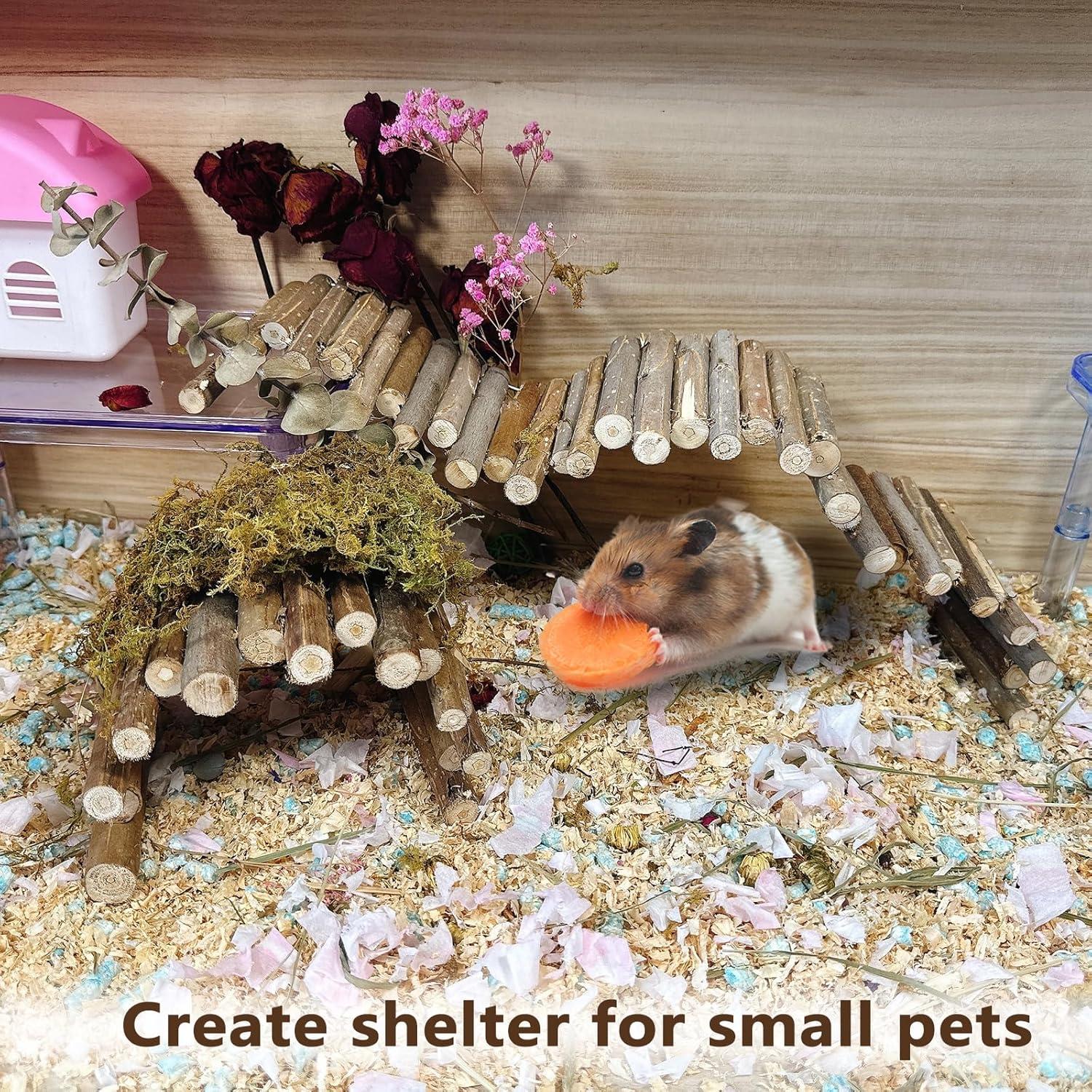 Puente de Madera para Hámster Hamiledyi 50x10cm y 25x10cm