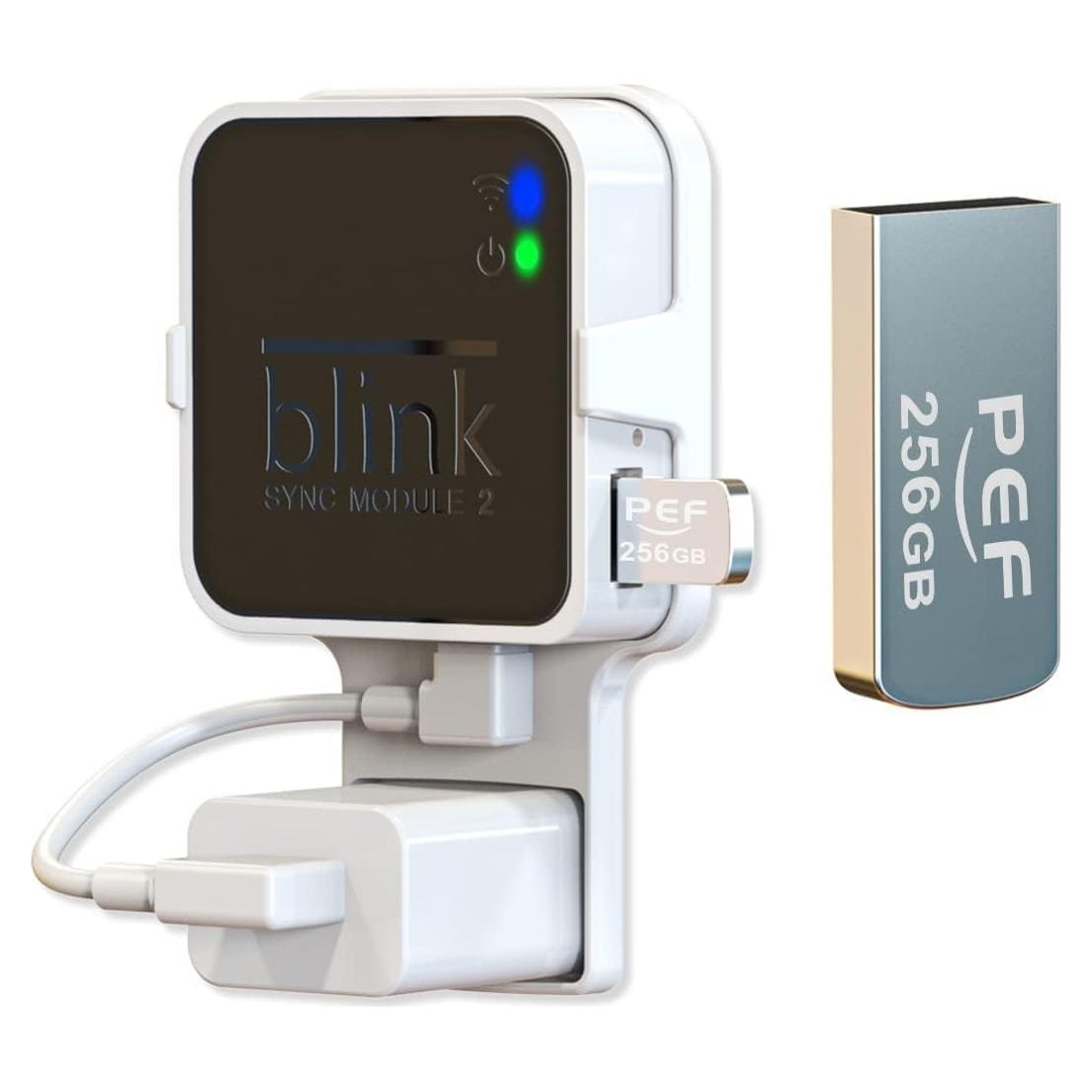 Unidad Flash USB 256GB PEF + Soporte Módulo Blink 2