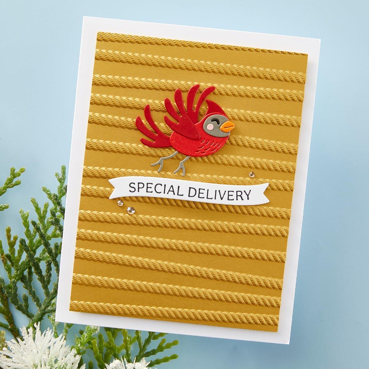 Carpeta de Embossing 3D Spellbinders All Wrapped Up 14x22 cm