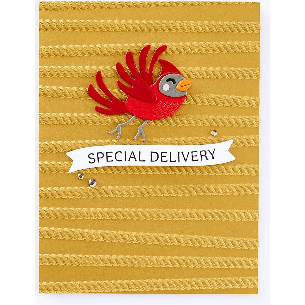 Carpeta de Embossing 3D Spellbinders All Wrapped Up 14x22 cm