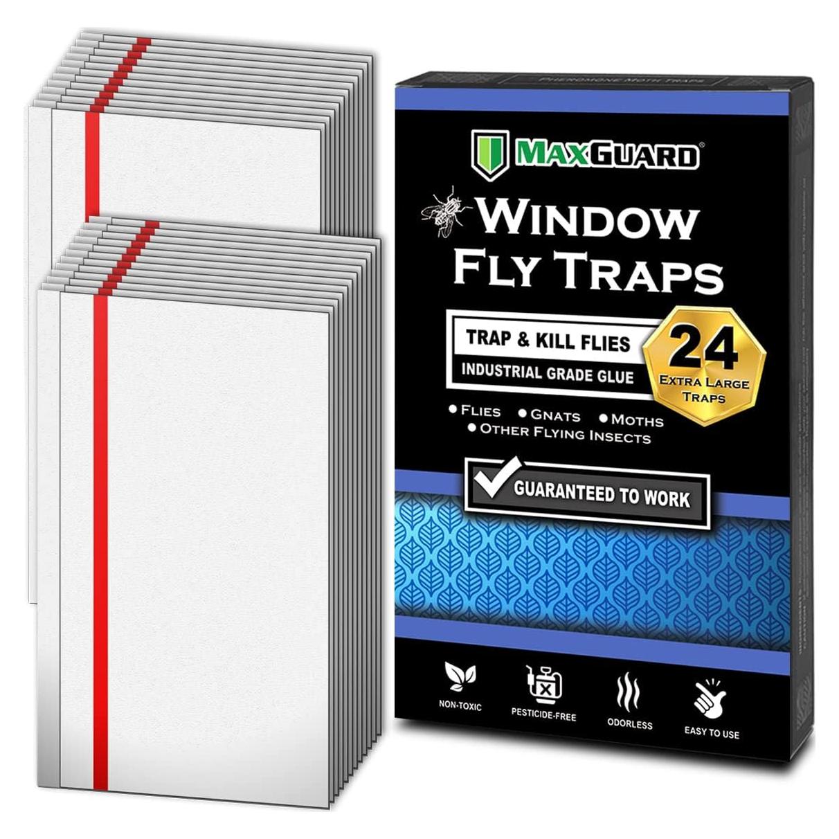 Trampas Adhesivas para Moscas MaxGuard - 24 Trampas XL No Tóxicas
