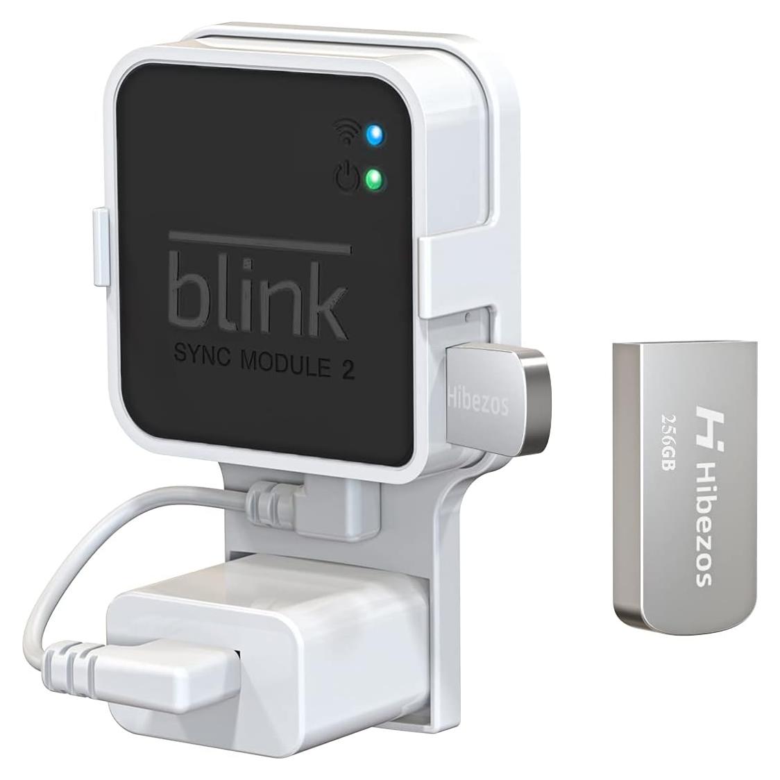 Unidad Flash USB 256GB Hibezos con Montaje para Blink 2