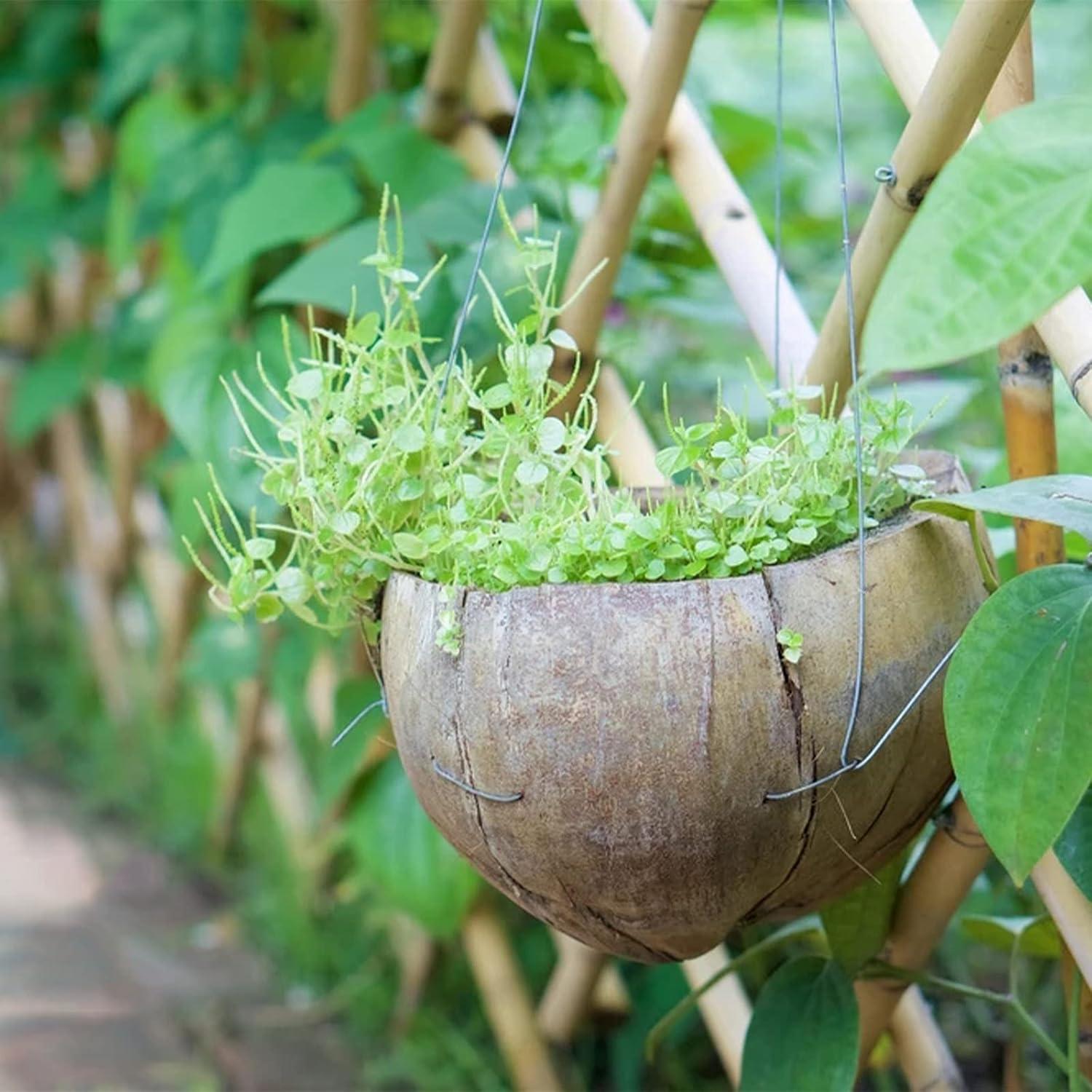 Alambre Sólido Galvanizado Cerpourt 19 Gauge 30m 1.2mm