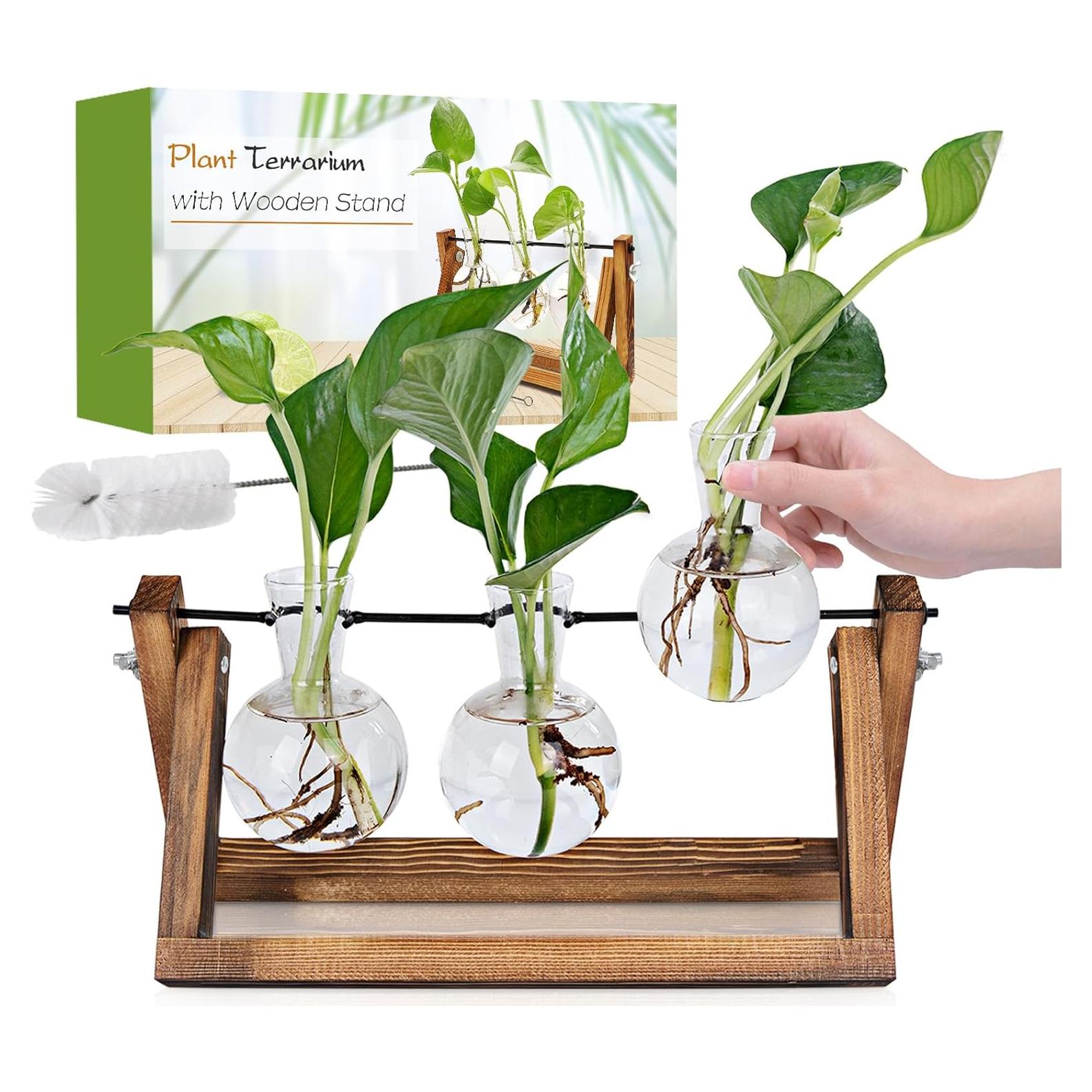 Estación de Propagación de Plantas Renmxj con 3 Jarrones de Vidrio