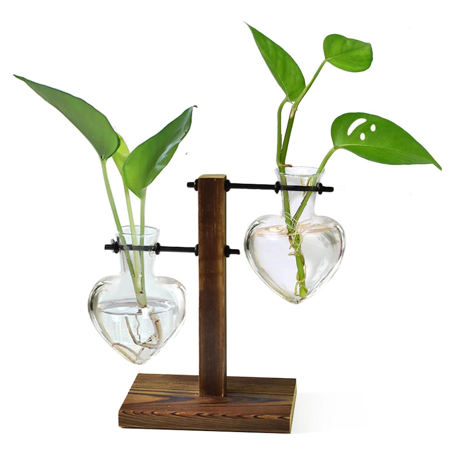 Soporte de Madera para Terrario XXXFLOWER con 2 Jarrones Corazón