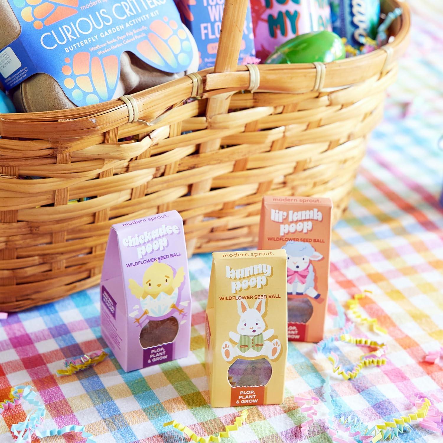 Bolas de Semillas de Flores Silvestres Modern Sprout - Set de 3