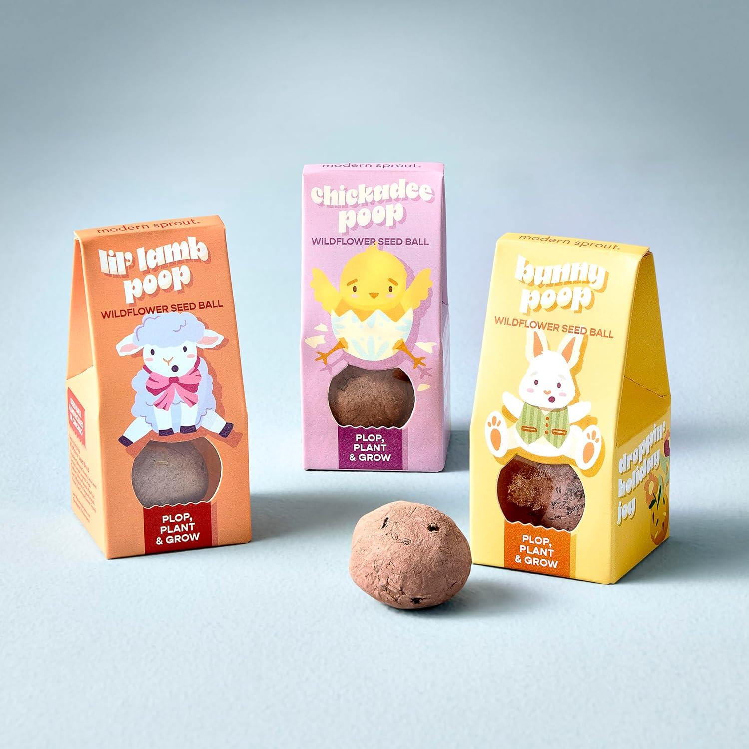 Bolas de Semillas de Flores Silvestres Modern Sprout - Set de 3