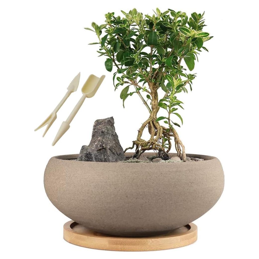 Maceta de Bonsai MUZHI Cerámica 20 cm Redonda sin Esmalte