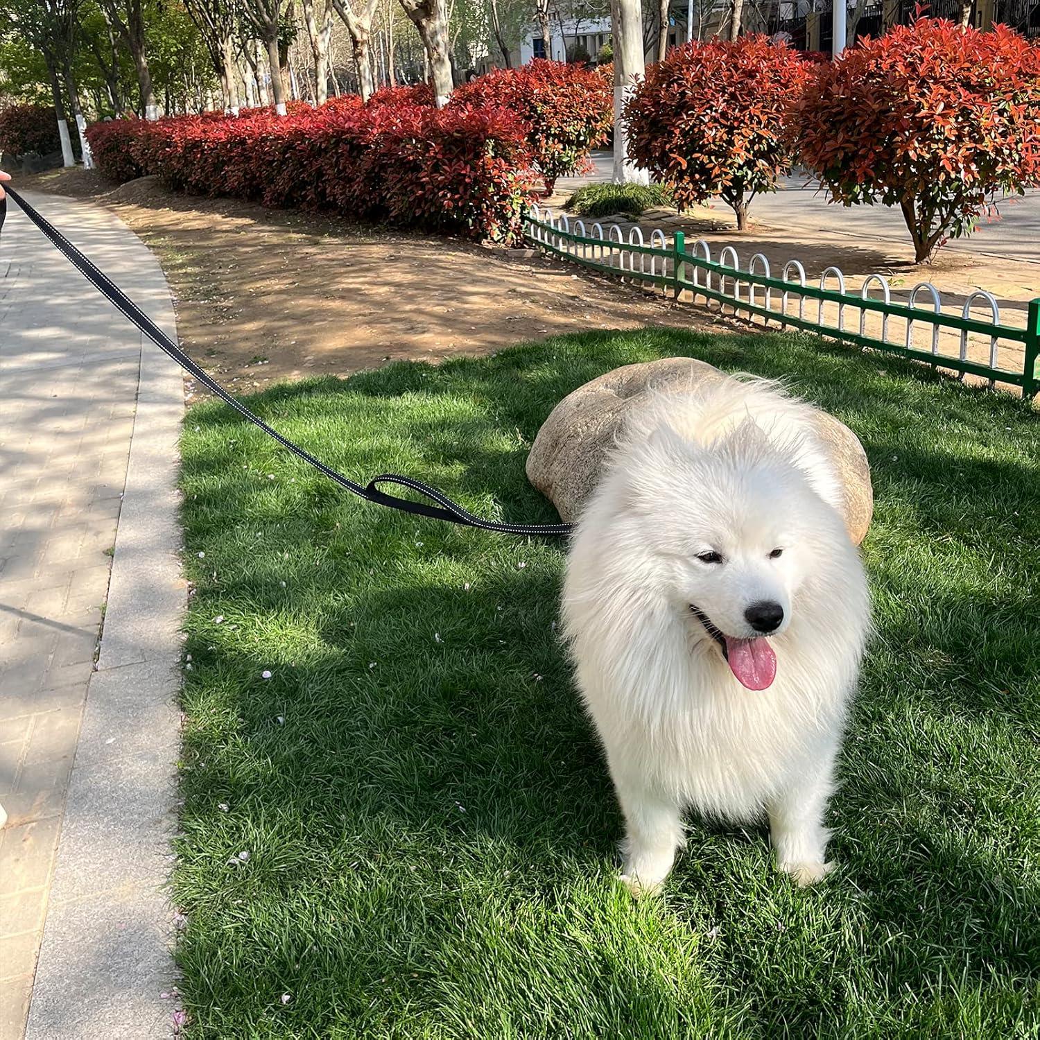 Correa para Perros Joytale 6FT Doble Mango Reflectante Negra