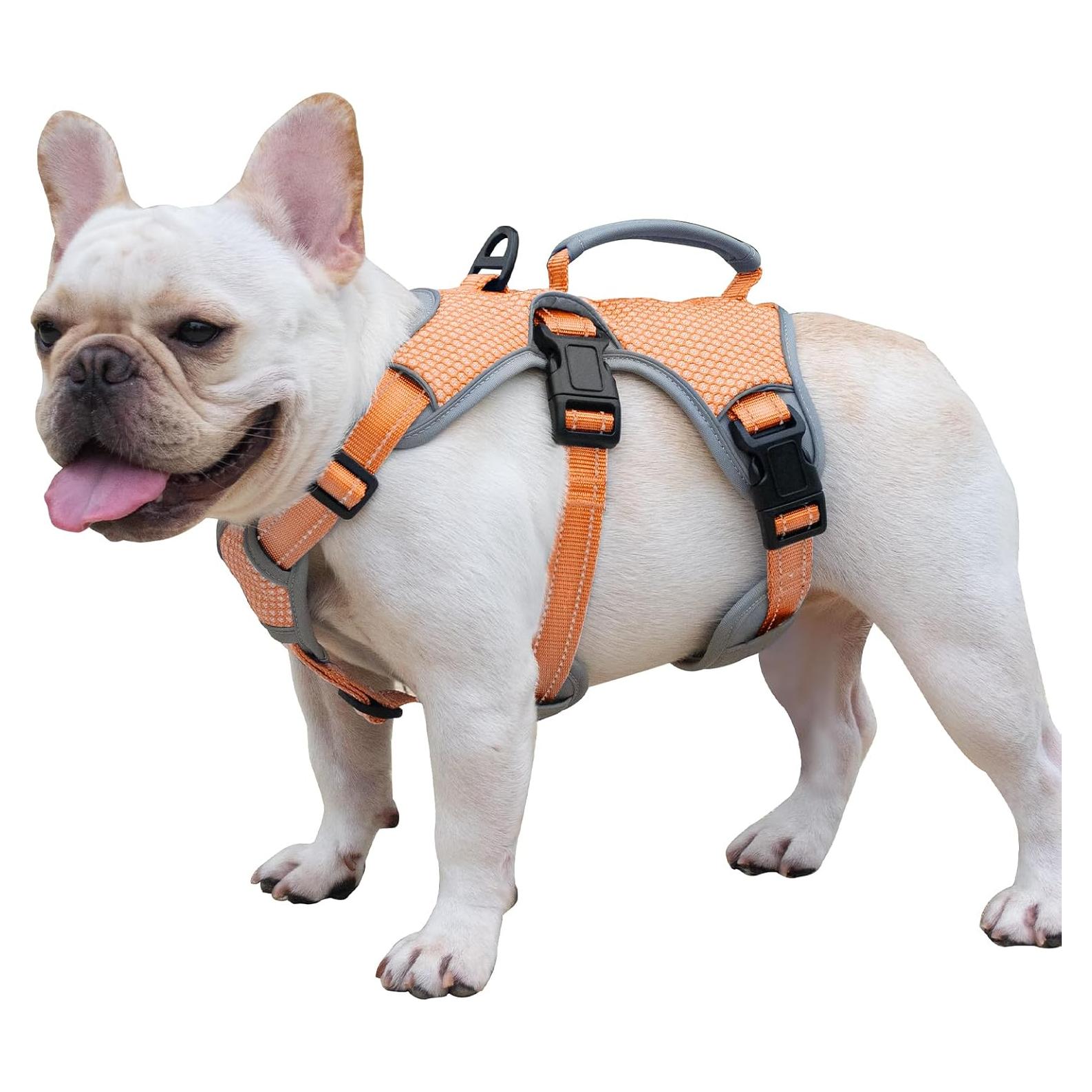 Arnés para Perros HUNTBOO Mediano Naranja a Prueba de Escape