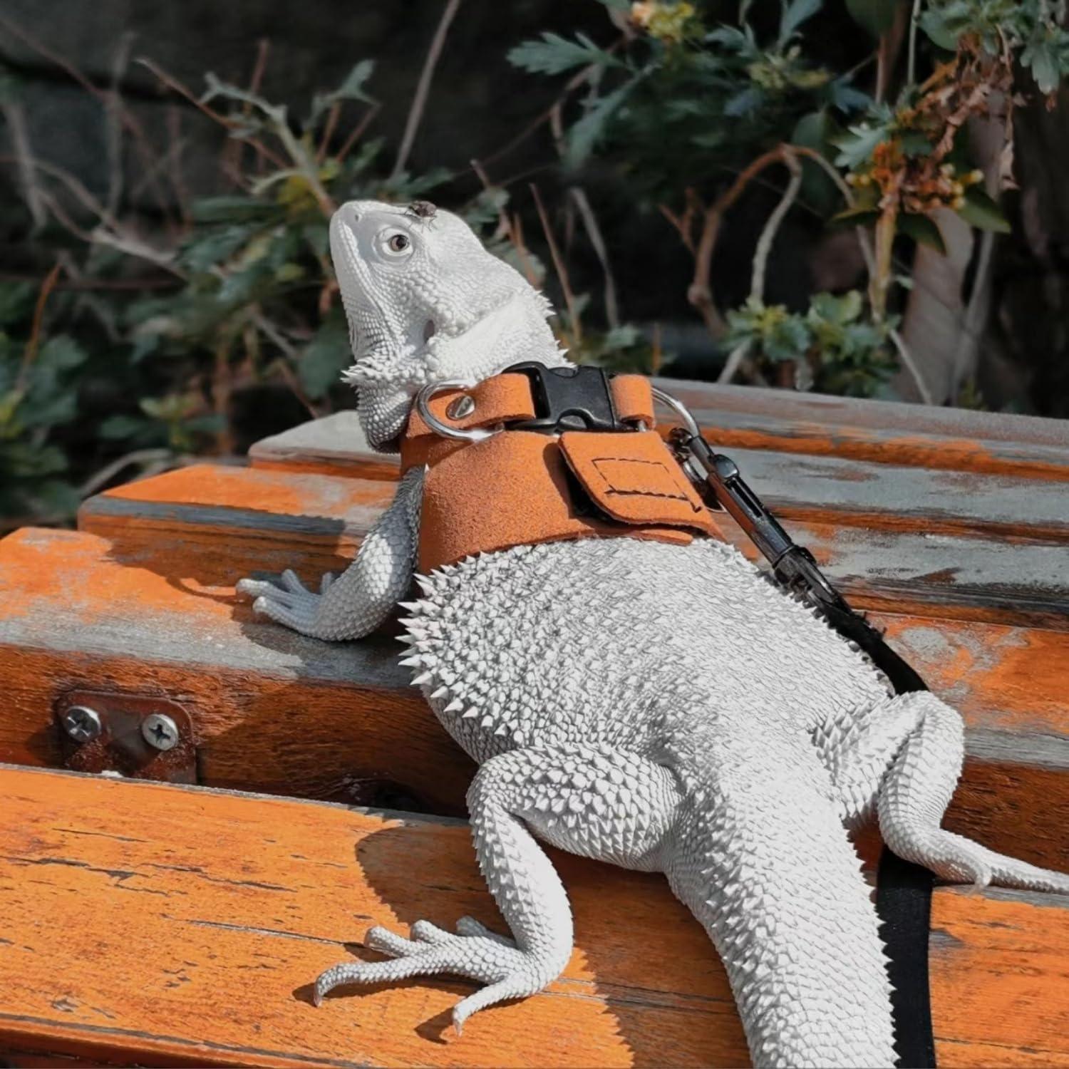 Juego de Arnés y Correa Retráctil SEZDEKI para Dragón Barbudo