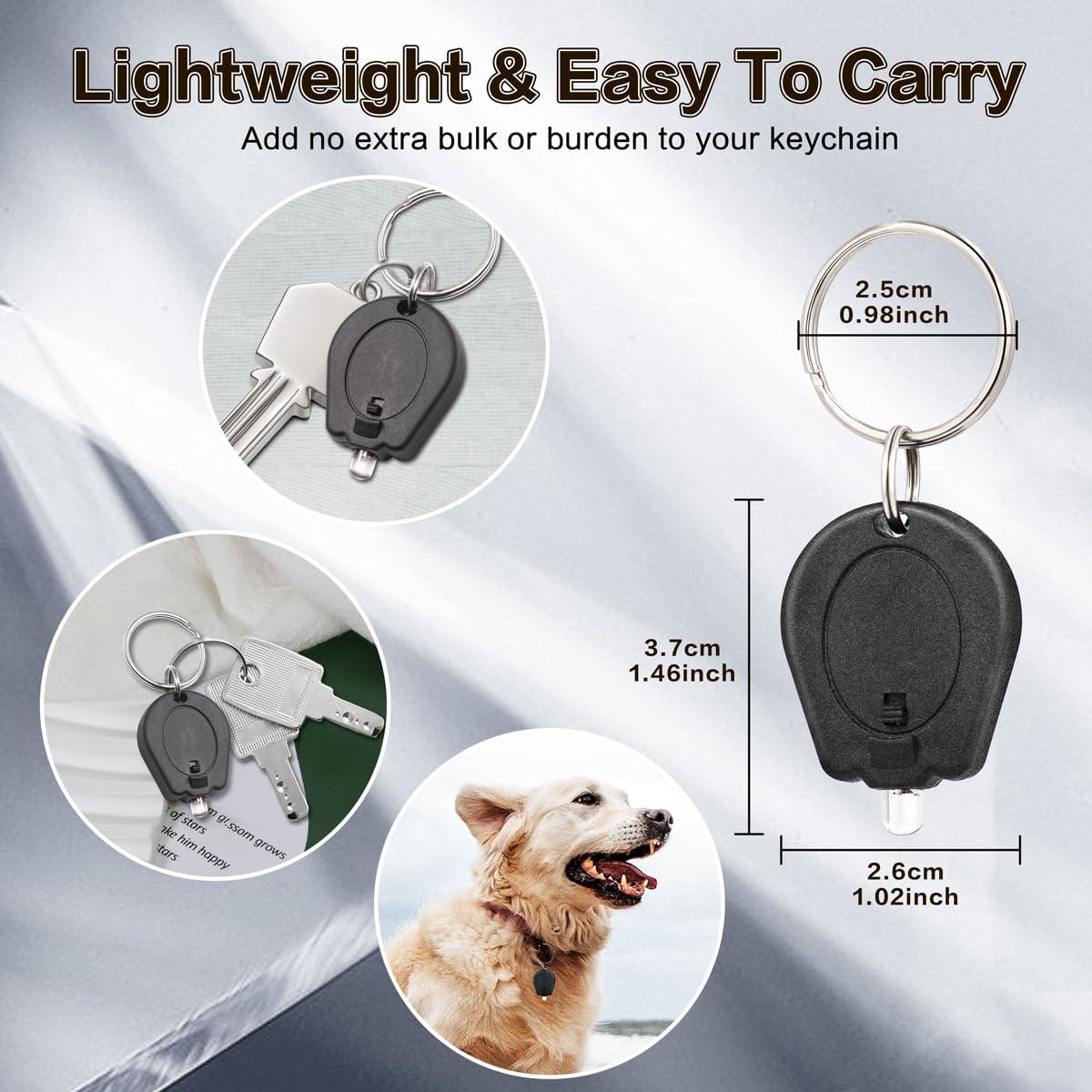 Paquete de 12 Linternas LED Mini RaySoar con Llave Blanca