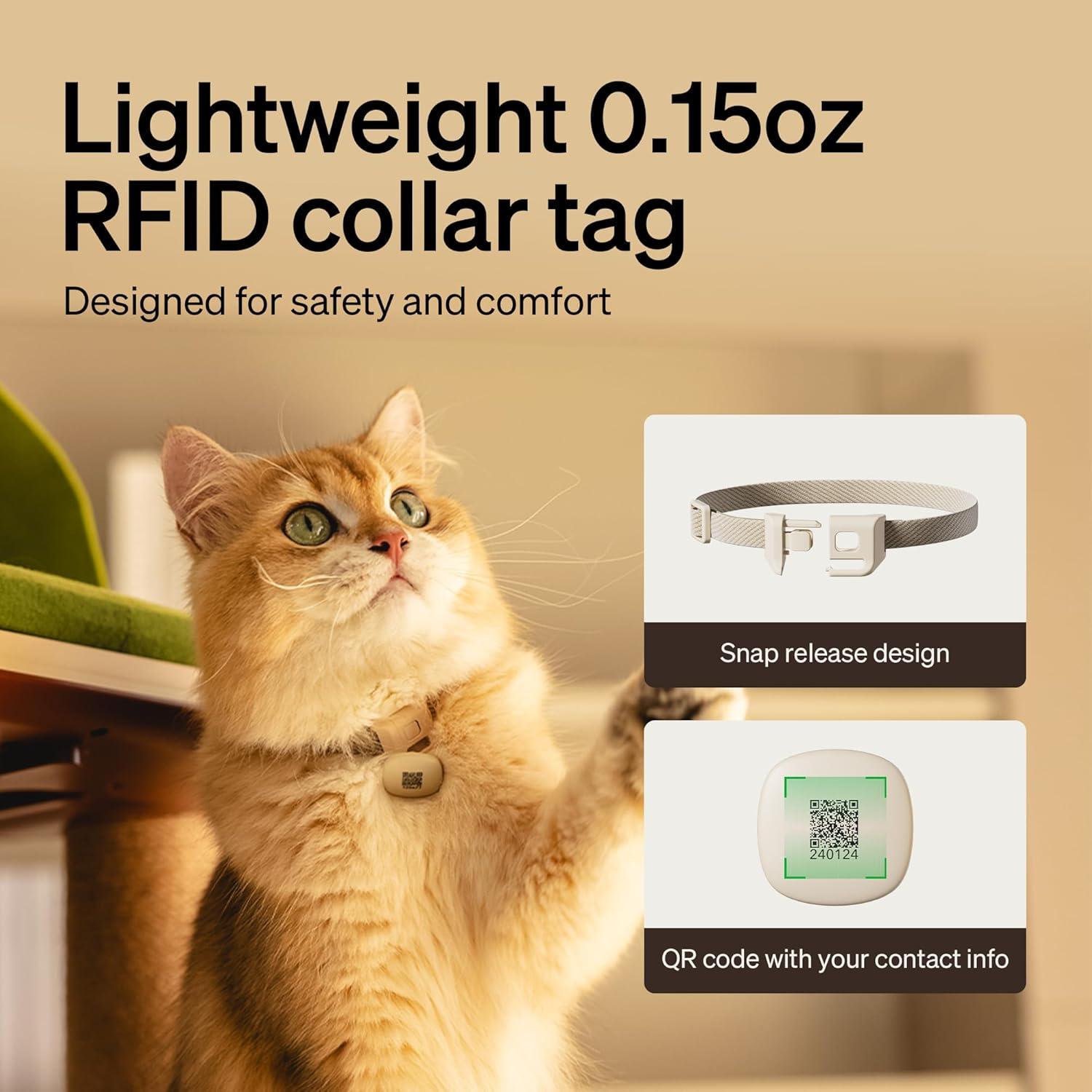 Alimentador Automático PETLIBRO 3L Wi-Fi Gato RFID