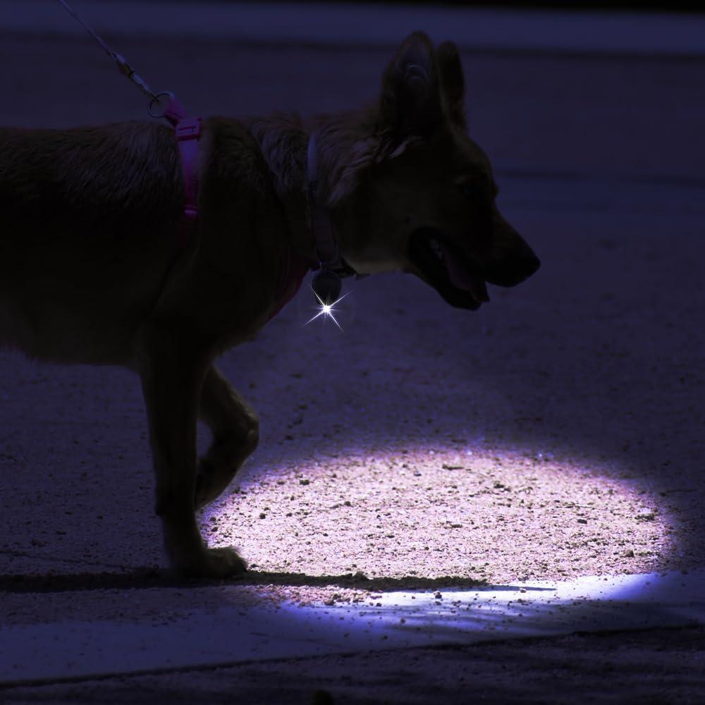 Paquete de 10 Linternas LED Mini RaySoar Púrpura 12 Lúmenes