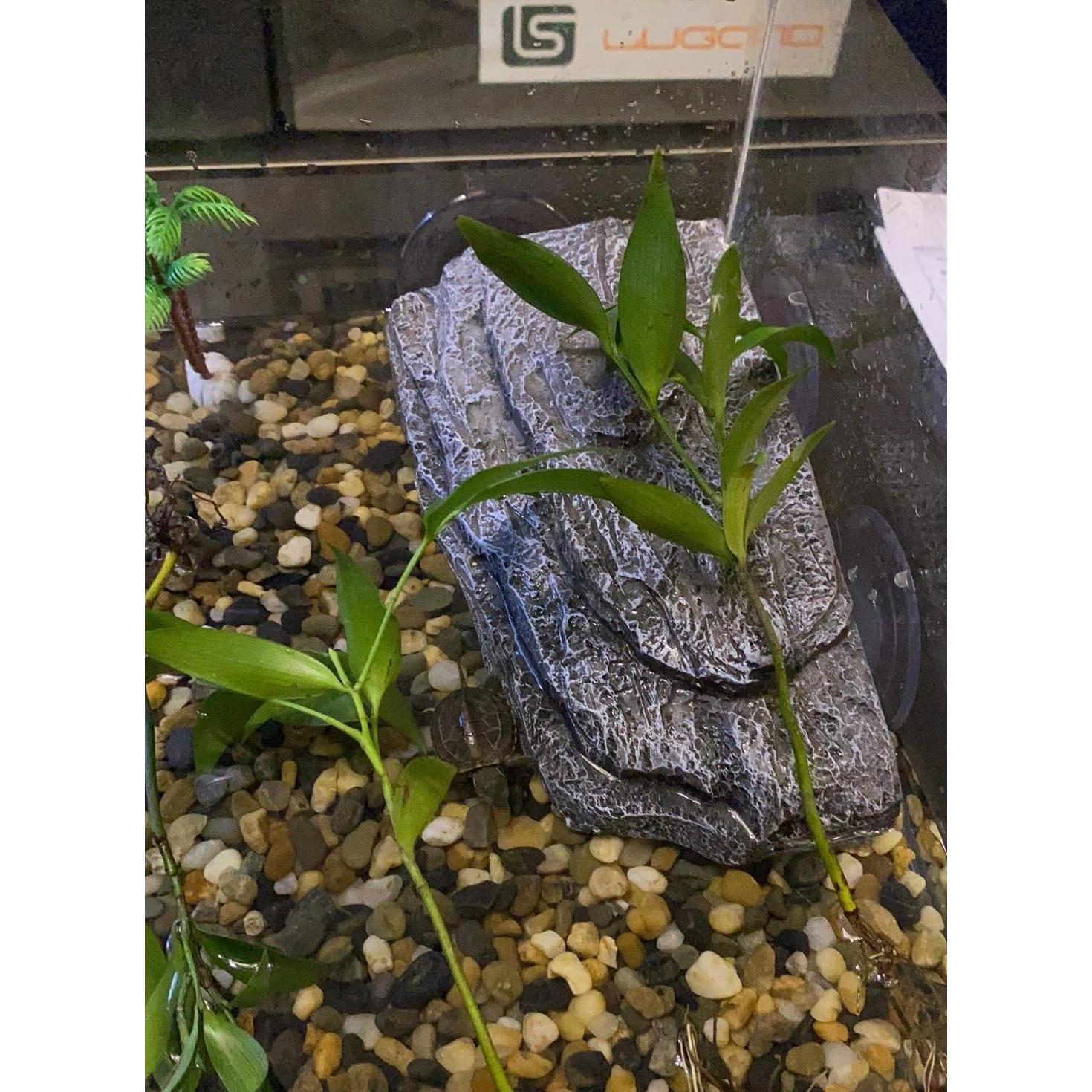 Plataforma de Sol para Tortugas YZHZOM 22x13cm con Ventosas