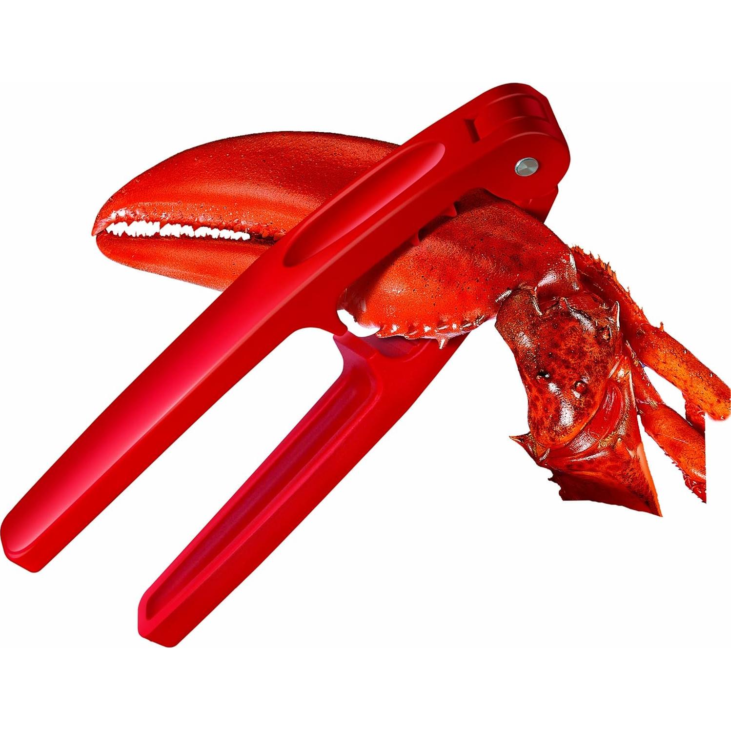 Herramienta de Galleta de Mar Zyliss - Abridor de Mariscos Ergonómico