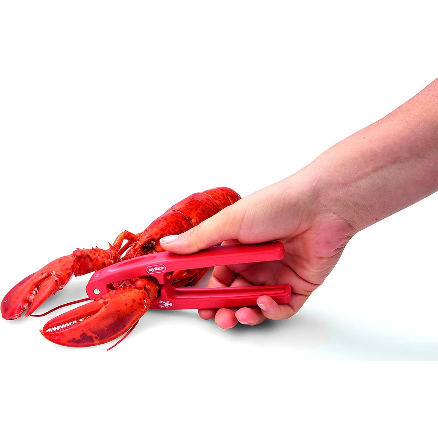 Herramienta de Galleta de Mar Zyliss - Abridor de Mariscos Ergonómico