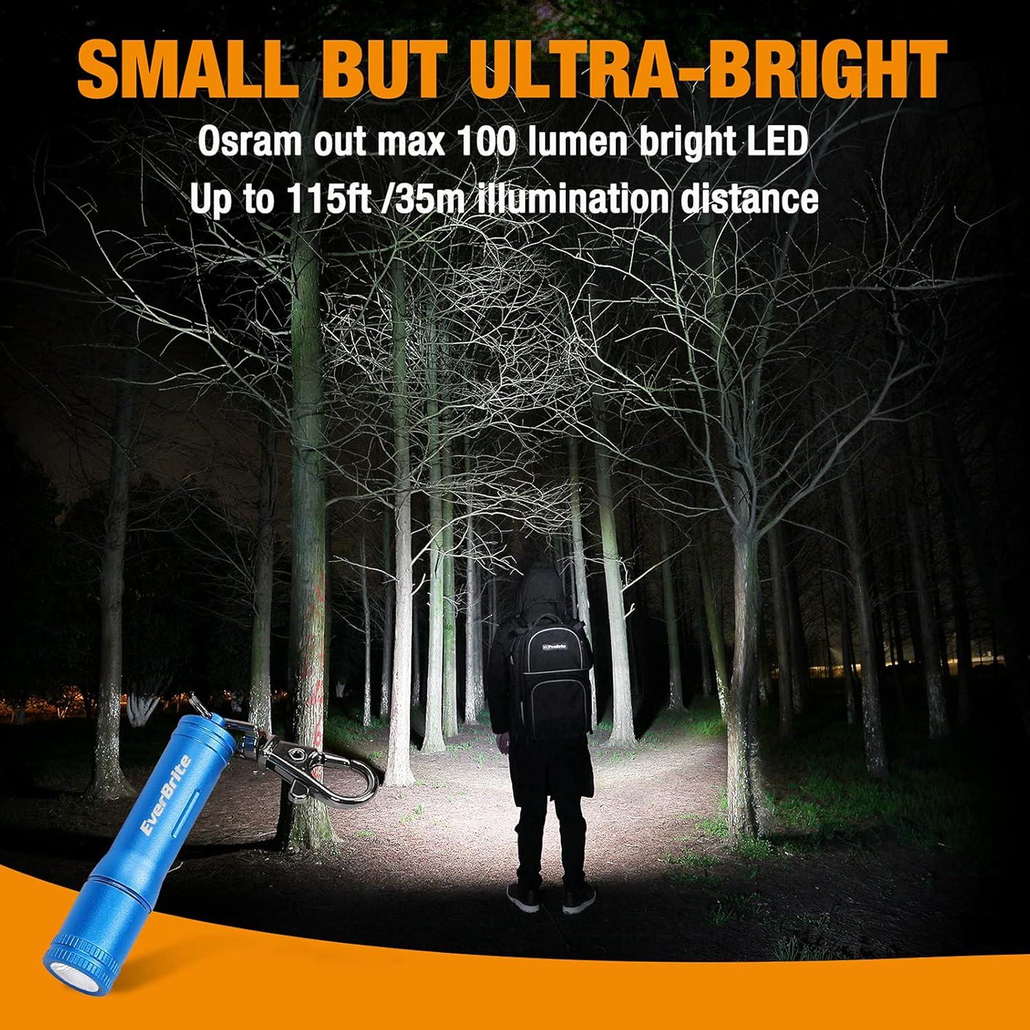 Linterna LED de Llavero EverBrite Azul 100 Lúmenes