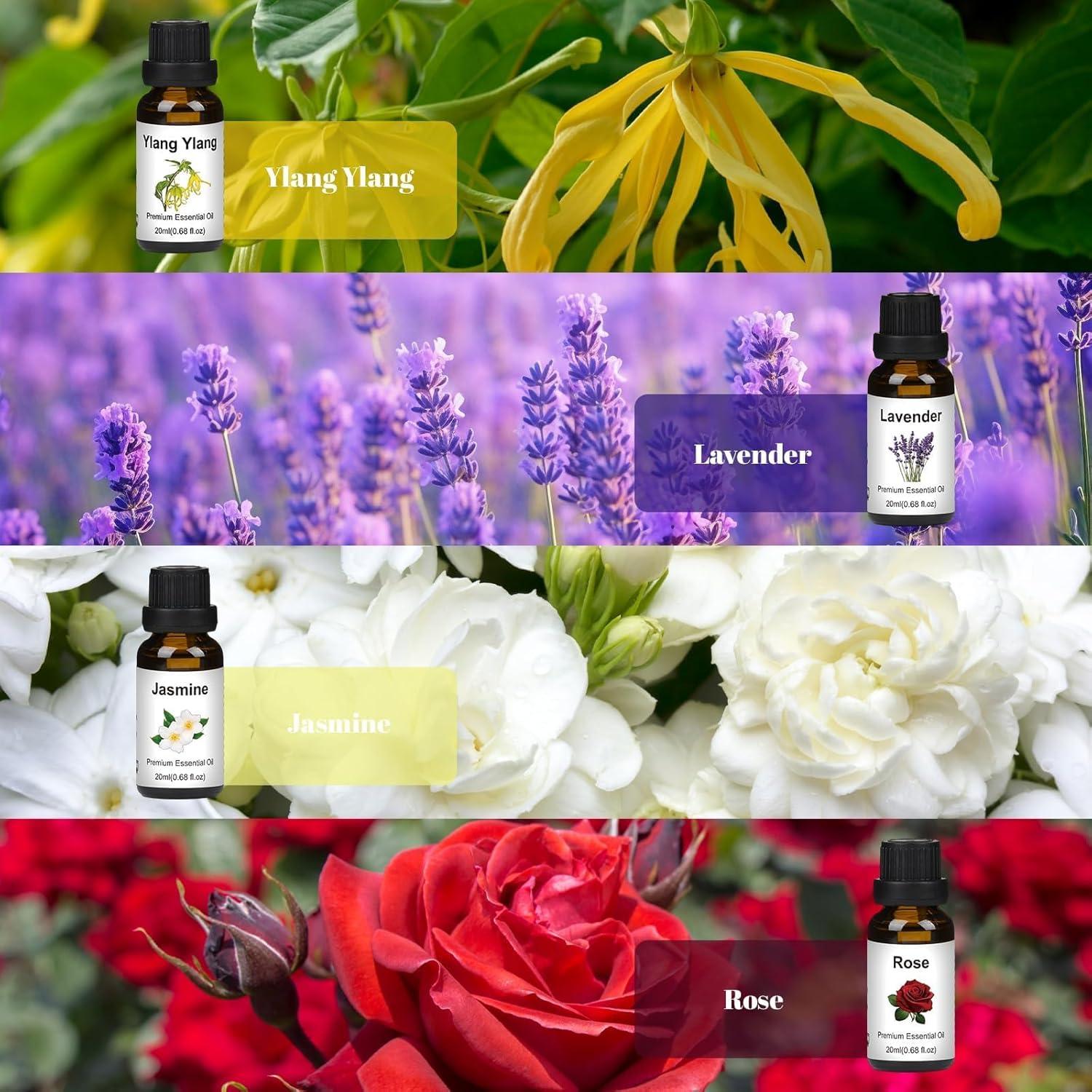 Set de Aceites Esenciales Puros BISIRBAT 20ml x4 - Ylang Ylang, Lavanda, Jazmín, Rosa