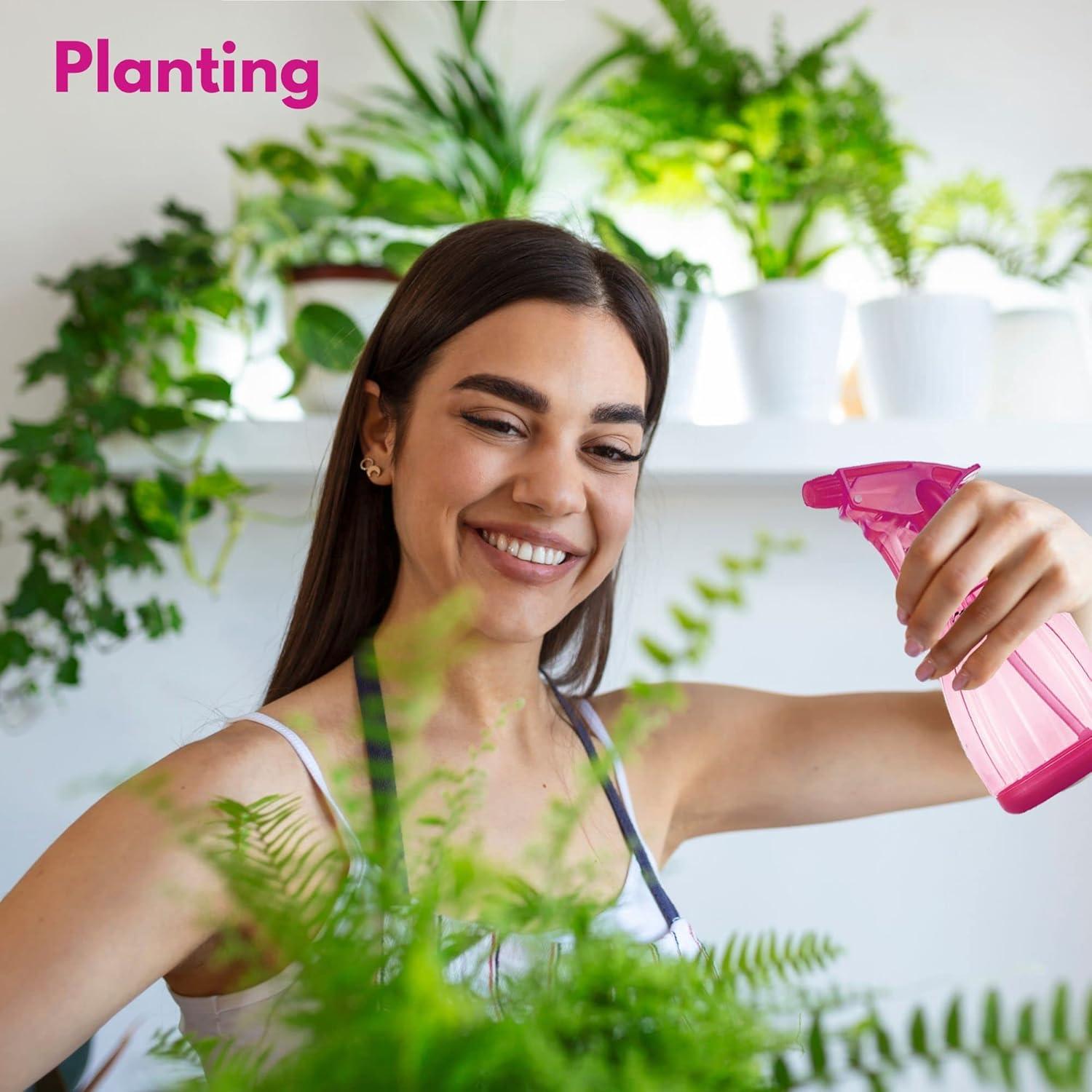 Botellas de Spray DilaBee 355ml - Paquete de 3 Colores