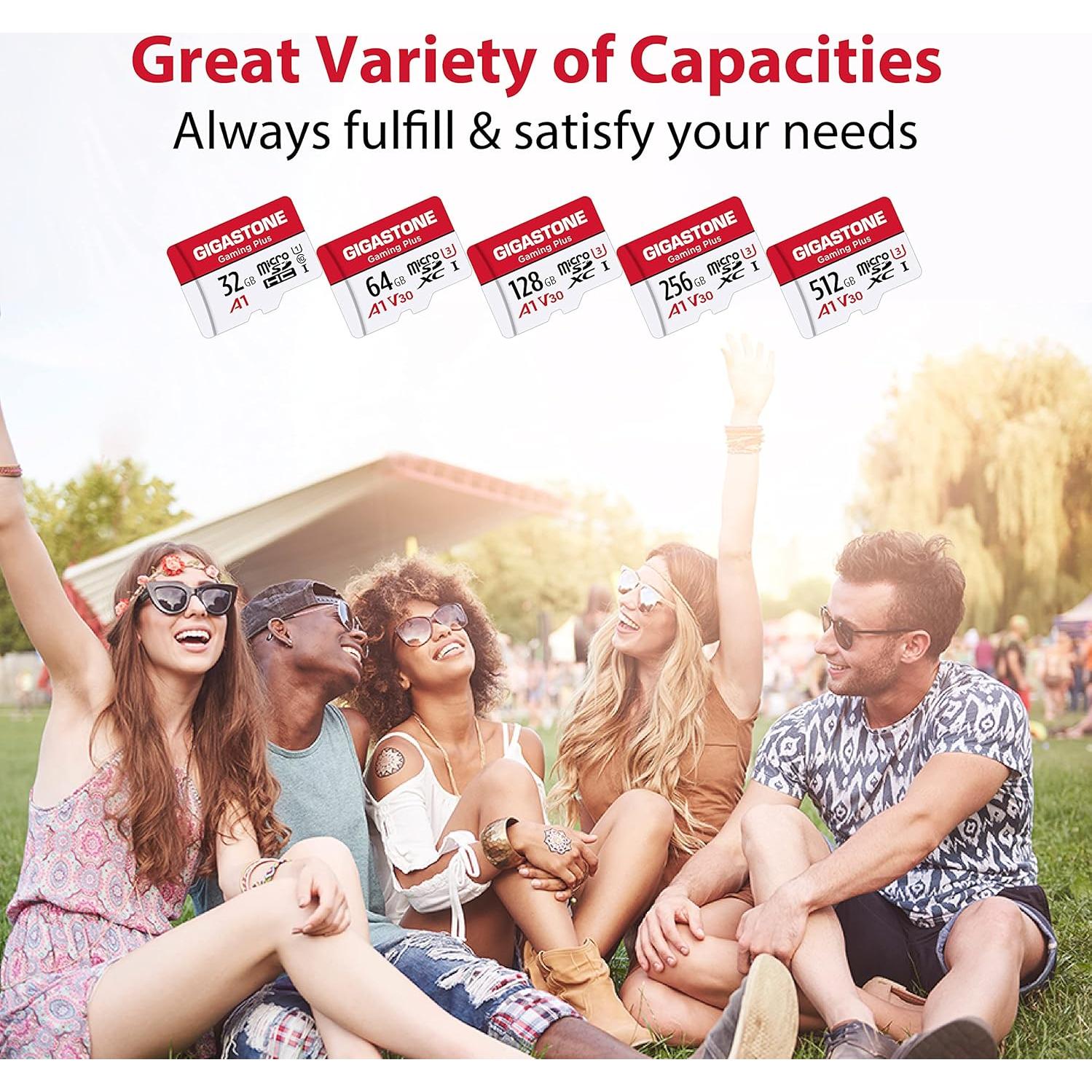 GIGASTONE 64GB Tarjeta Micro SD 2-Pack UHS-I U3 V30 4K