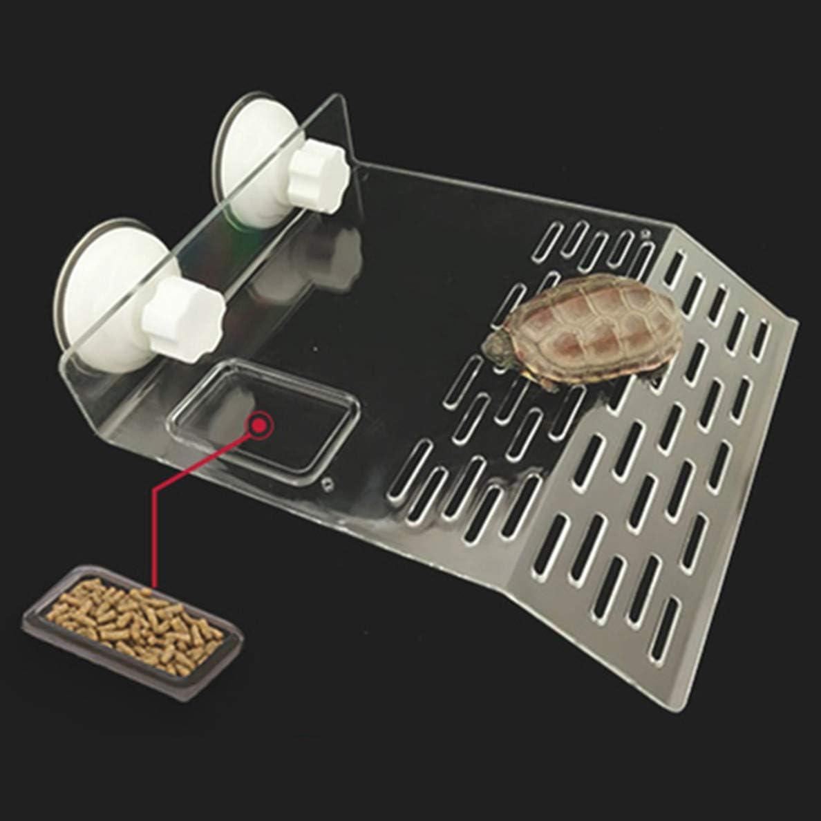 Plataforma de Acrílico para Tortugas Sunxenze Grande con Ventosas