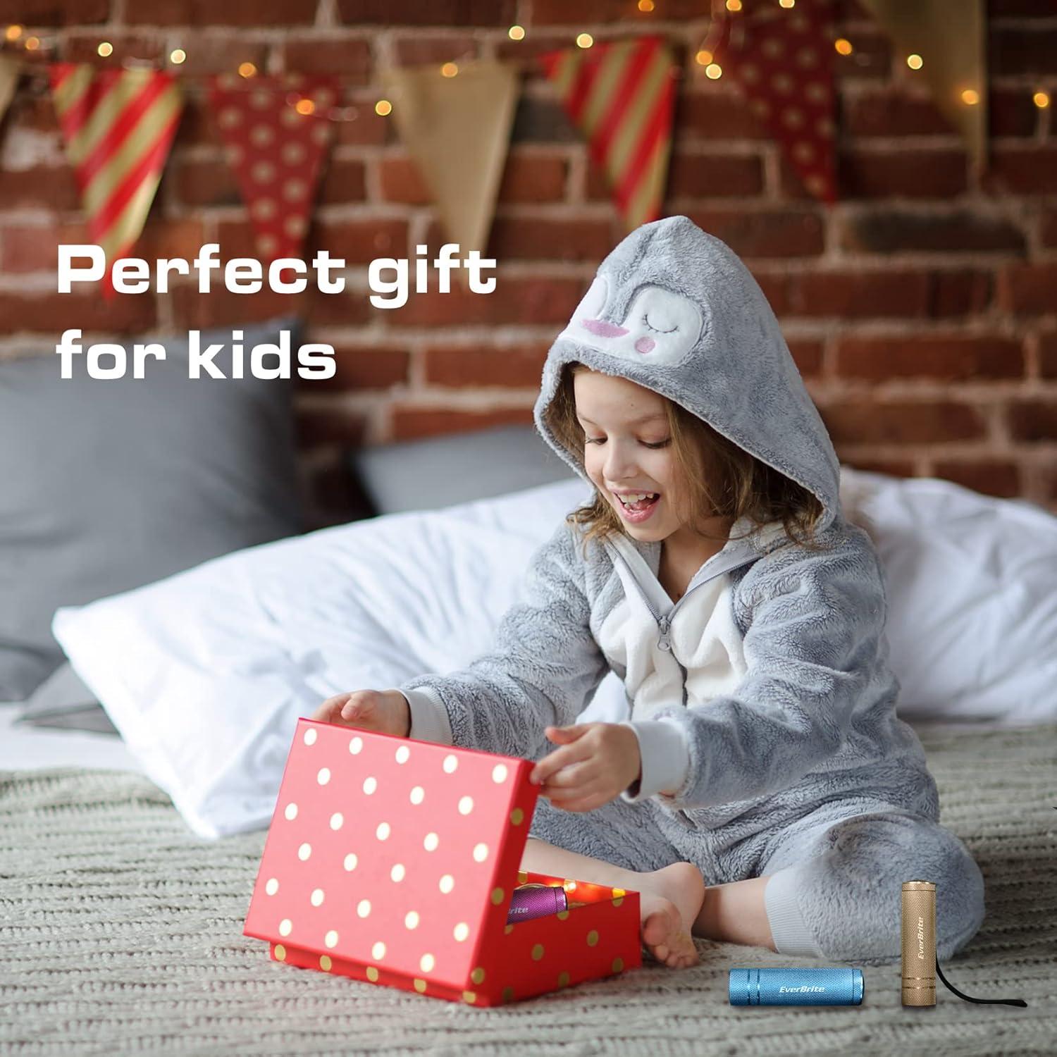 Conjunto de 6 Linternas LED Mini EverBrite de Aluminio