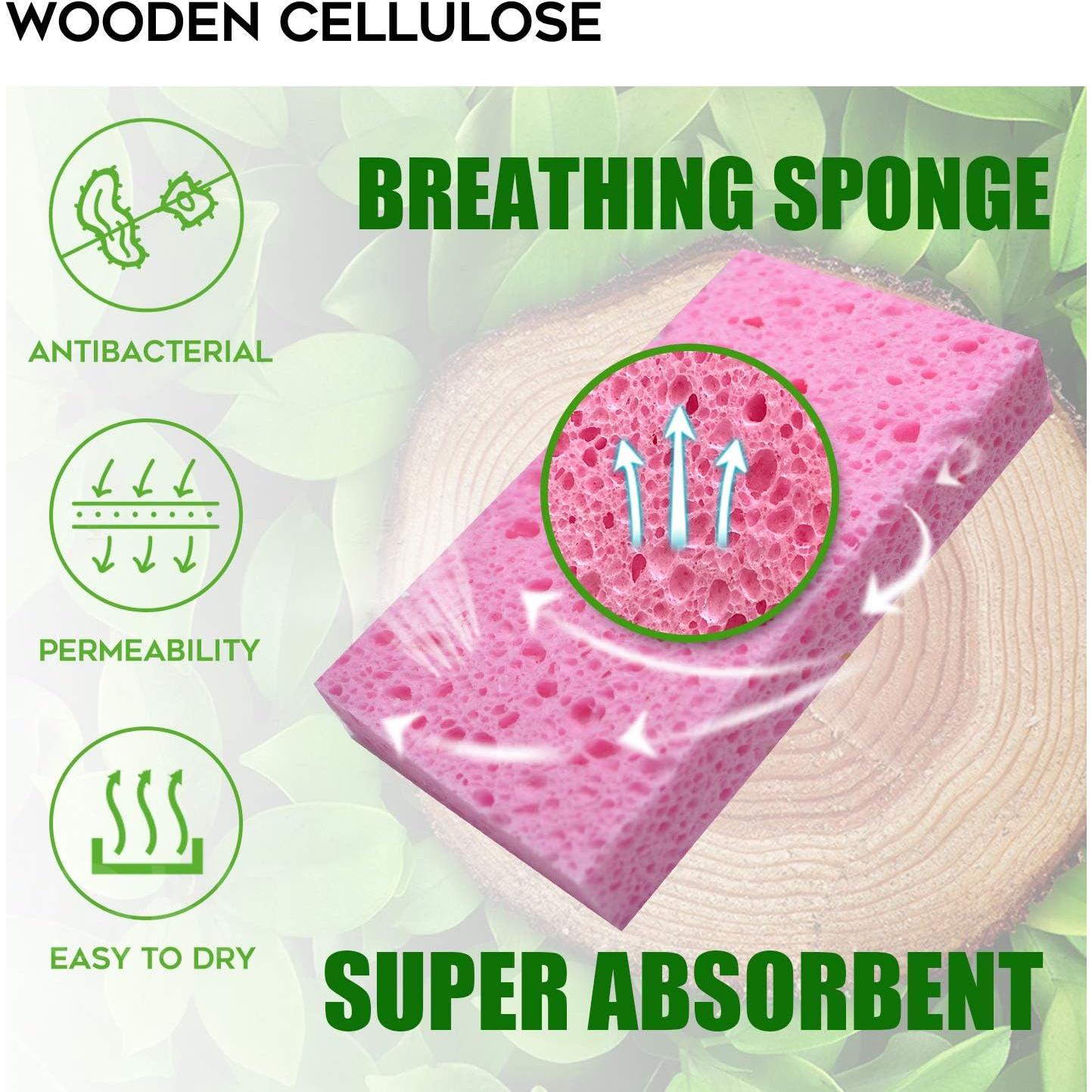 Esponjas de Cocina Biodegradables PANYEE 12 Pack Multicolor