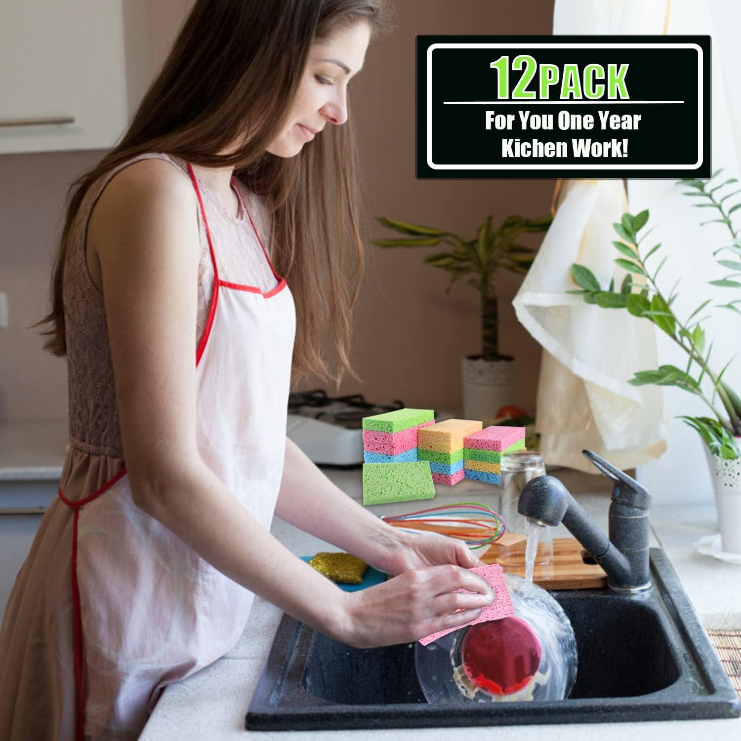 Esponjas de Cocina Biodegradables PANYEE 12 Pack Multicolor