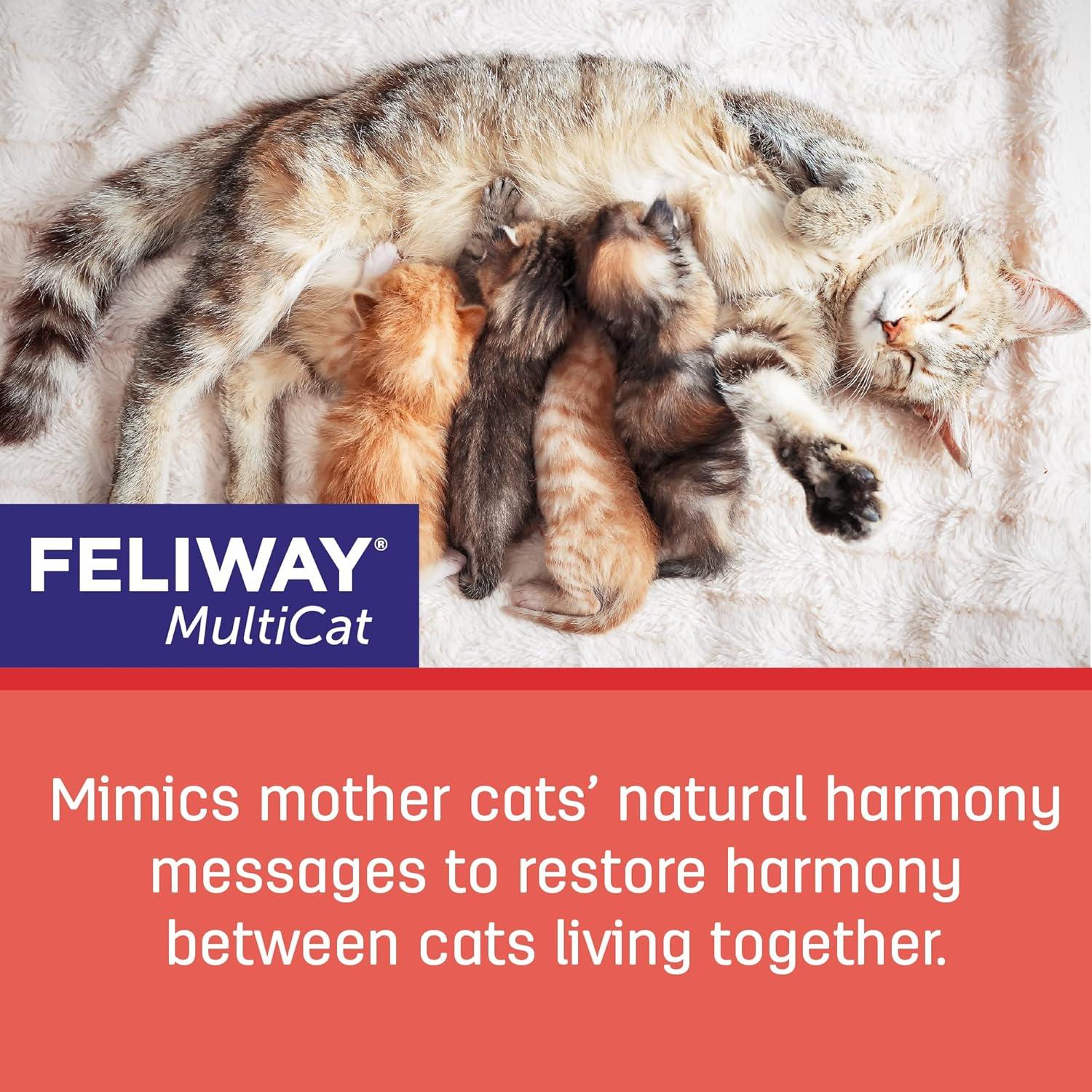 FELIWAY MultiCat Recarga 48ml - Difusor de Feromonas para Gatos