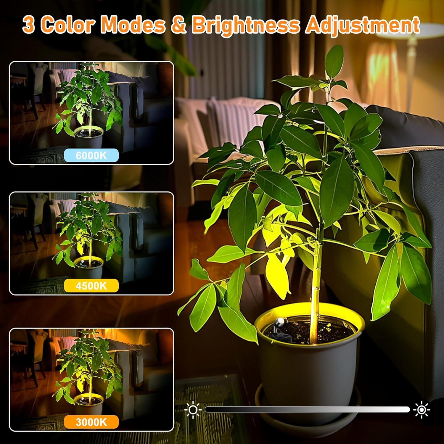 Paquete de 4 Focos LED Inalámbricos Destlife con Control Remoto