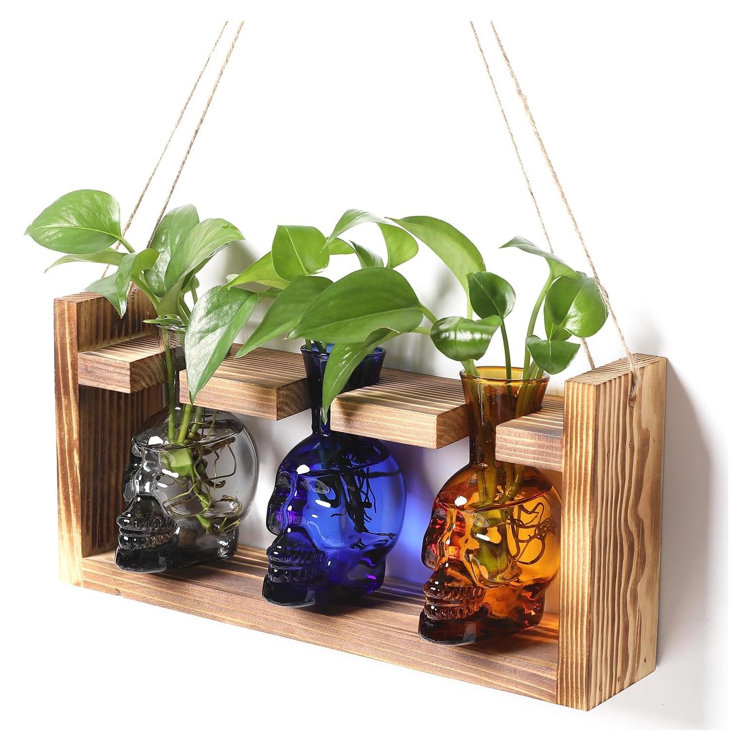 Jarrón de Vidrio Calavera para Hidroponía YYHglass 27.7cm