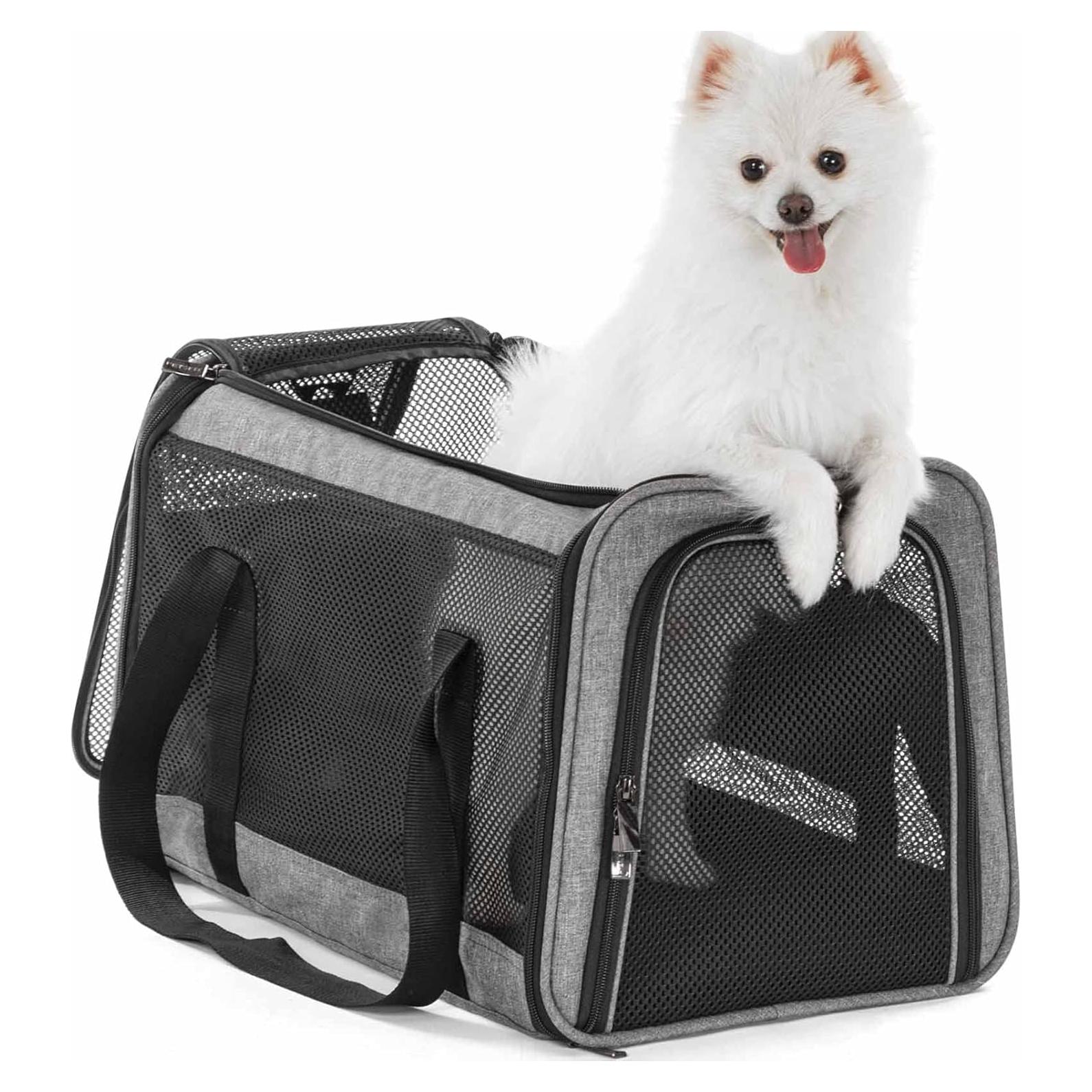 Transportadora Petsfit para gatos y perros pequeños 30x48cm