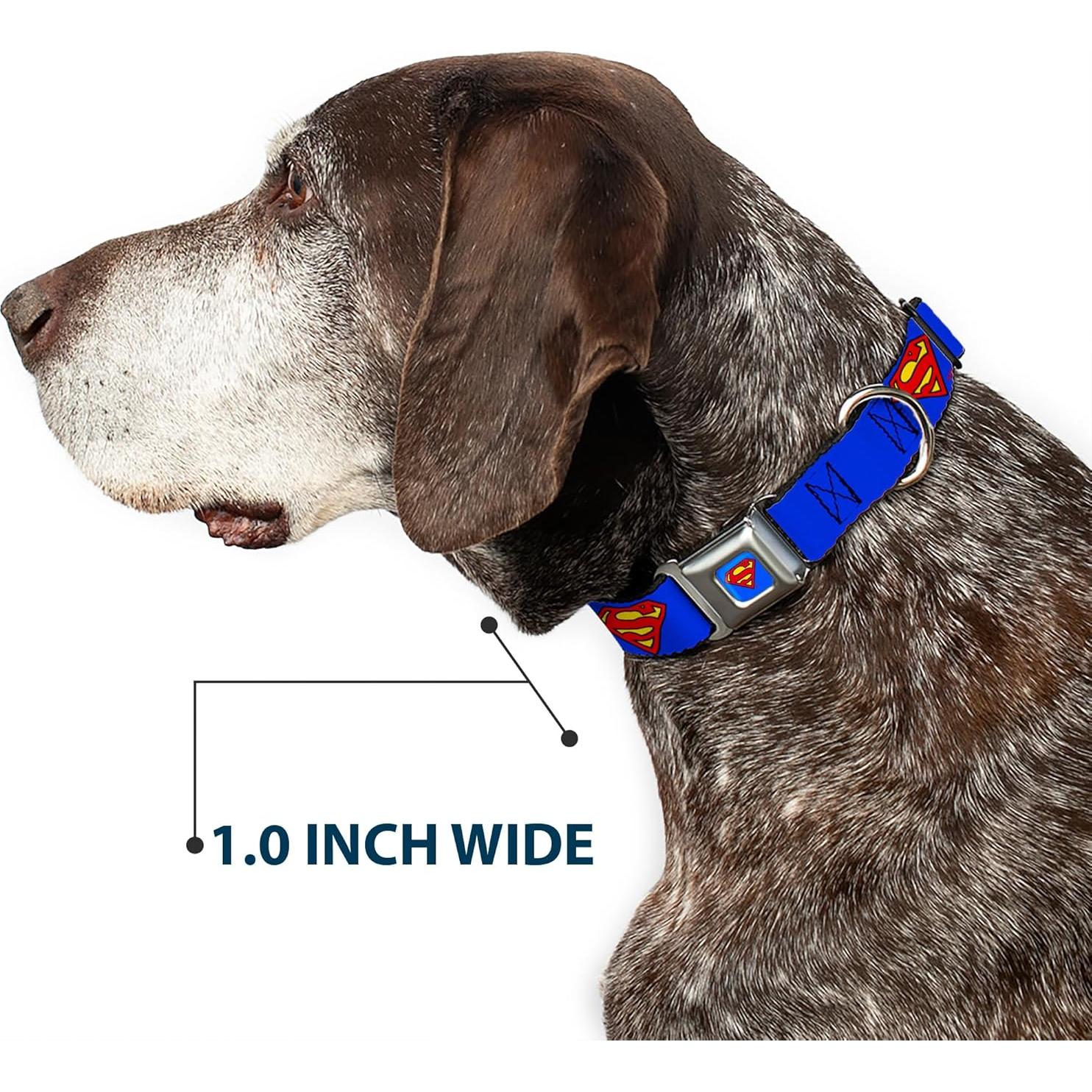 Collar de Perro Buckle-Down Escudo Superman Azul 22.86-38.1 cm