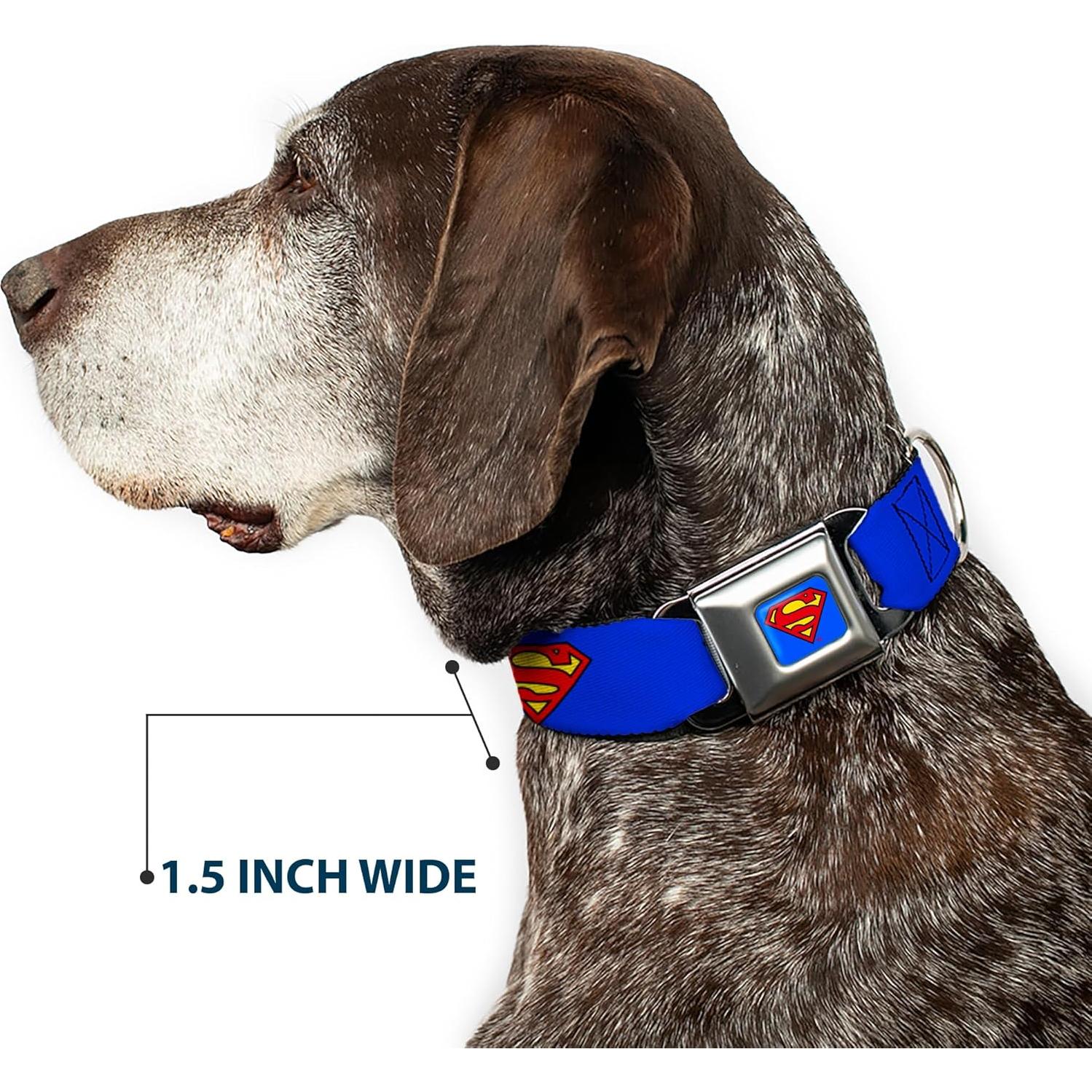 Collar de Perro Buckle-Down Escudo Superman Azul 22.86-38.1 cm