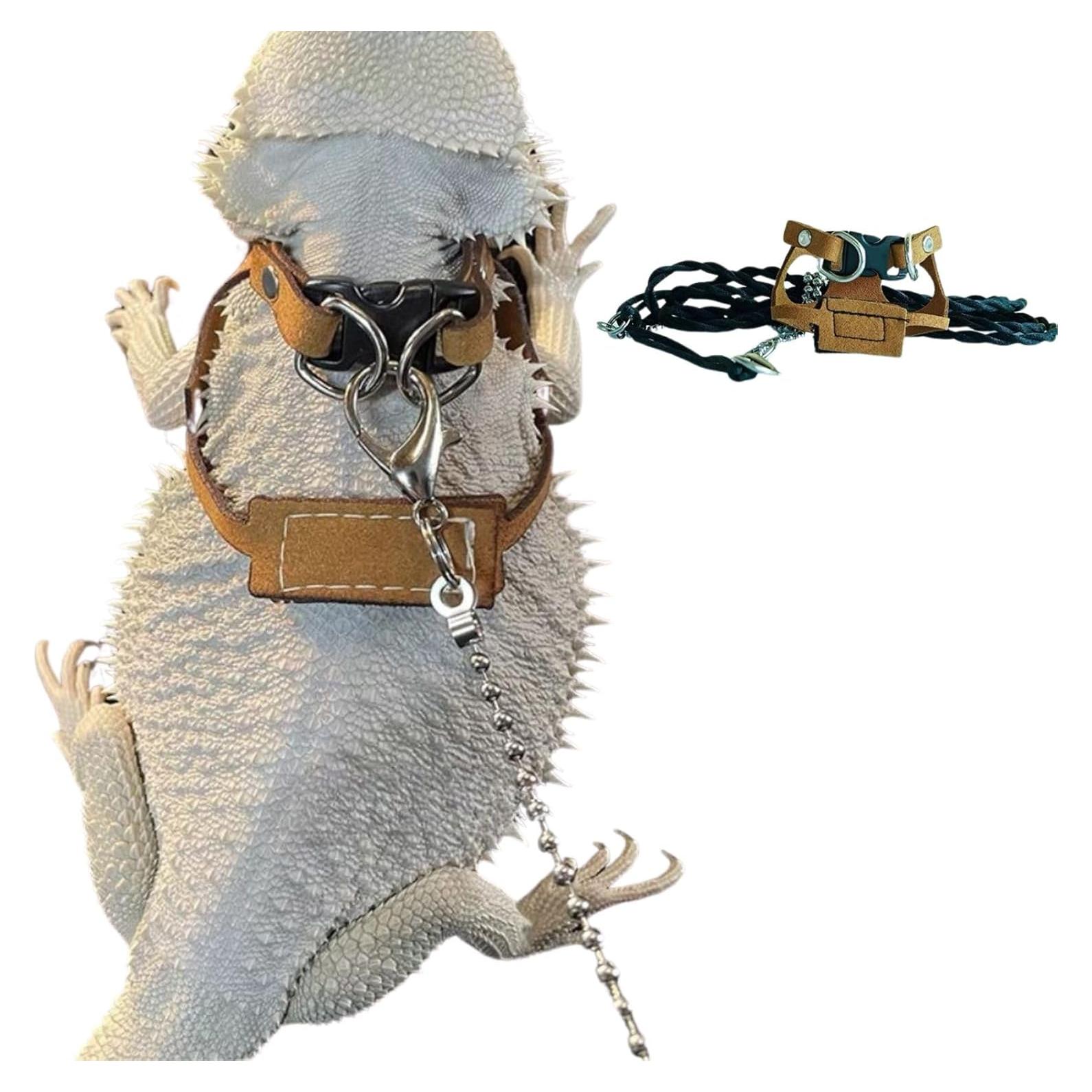 Arnés Ajustable para Dragón Barbudo KUNBIUH - M, L, XL