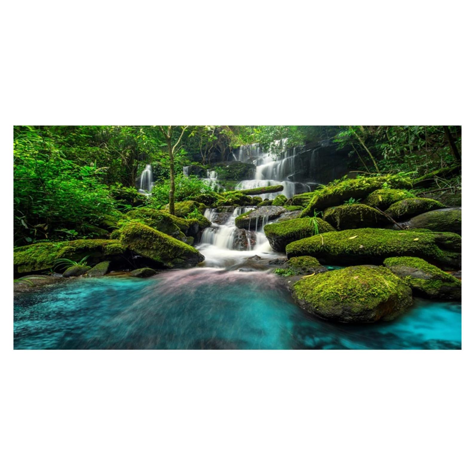 Fondo de Acuario 60x30 cm AWERT Selva Tropical Poliester