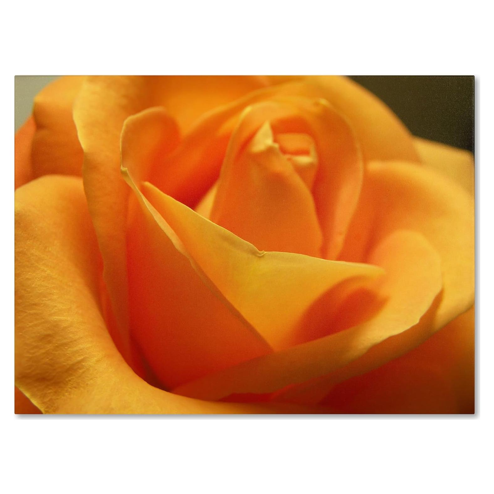 Obra de arte en lienzo floral Monica Fleet 35.6x48.3 cm