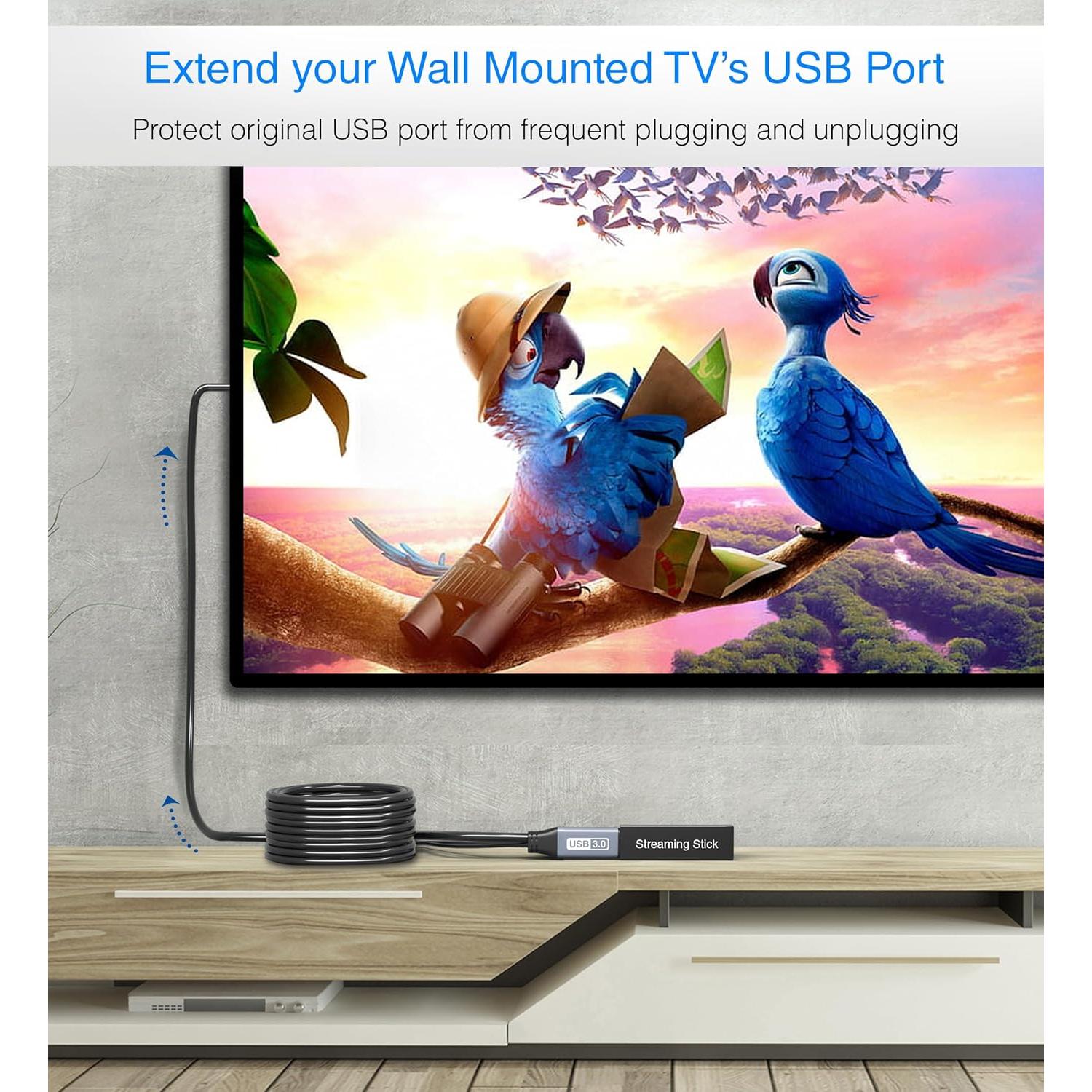 Cable de Extensión USB 3.0 BlueRigger 7.62 m Activo 5 Gbps