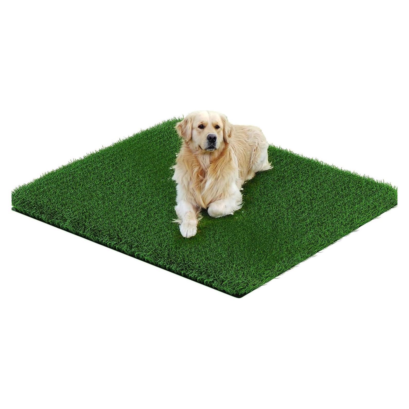 Alfombra de Césped Artificial para Perros 83.82 cm - PICK FOR LIFE