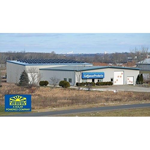 Juguete Interactivo para Gatos Cat Dancer 101 Seguro y Divertido