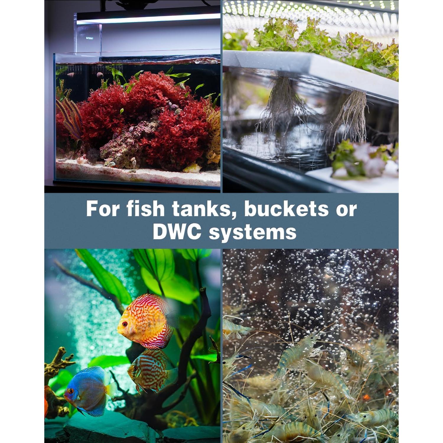 Pawfly Piedra de Aire Hemisférica Difusor de Oxígeno 5.5cm