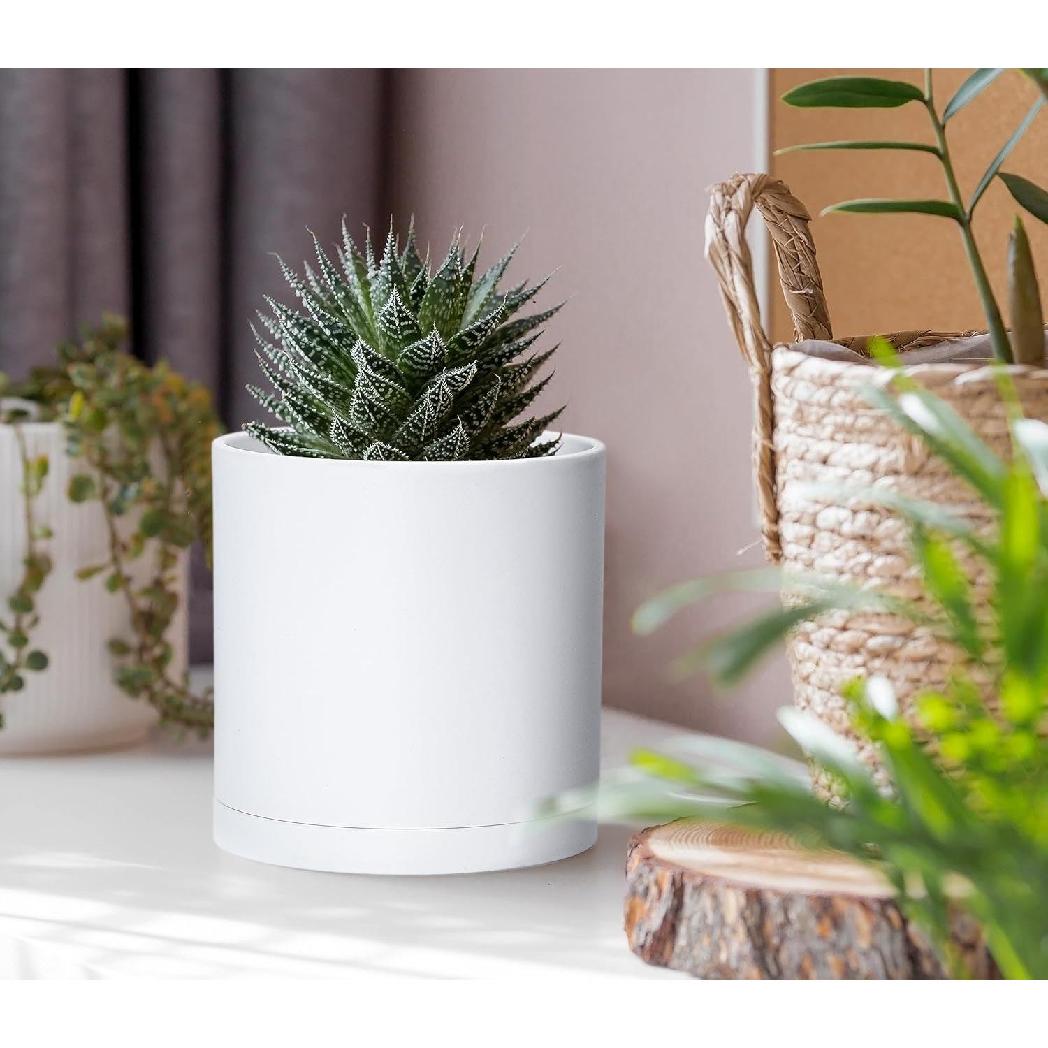 Juego de 2 Macetas Modernas D'vine Dev 10 cm Blancas