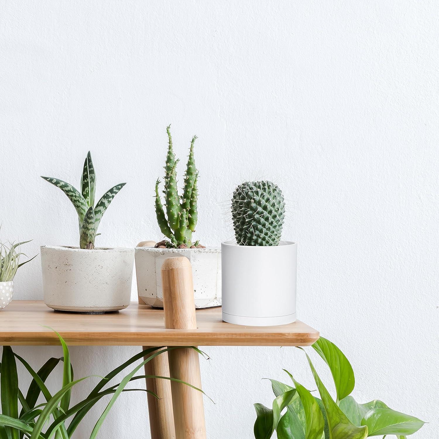 Juego de 2 Macetas Modernas D'vine Dev 10 cm Blancas