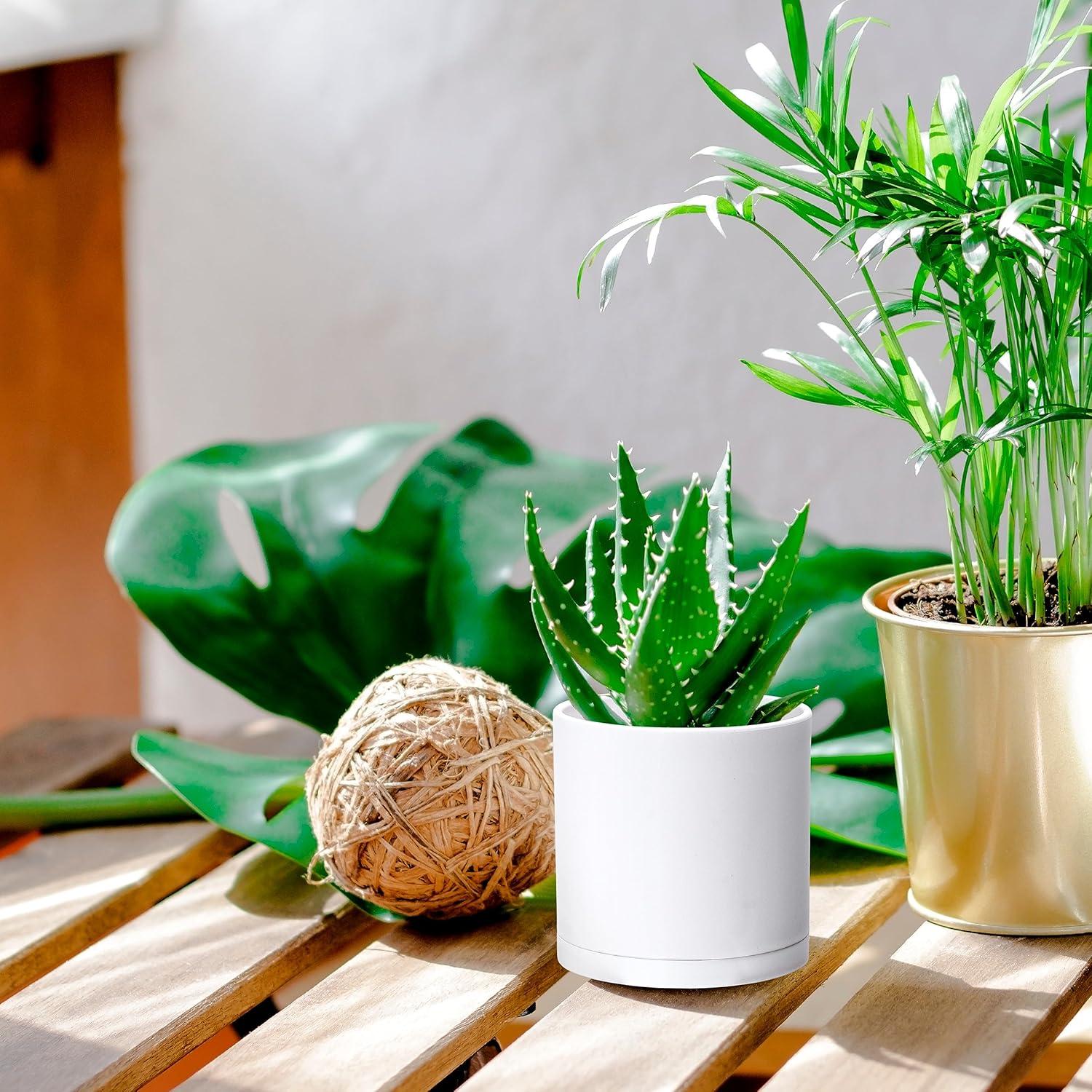 Juego de 2 Macetas Modernas D'vine Dev 10 cm Blancas