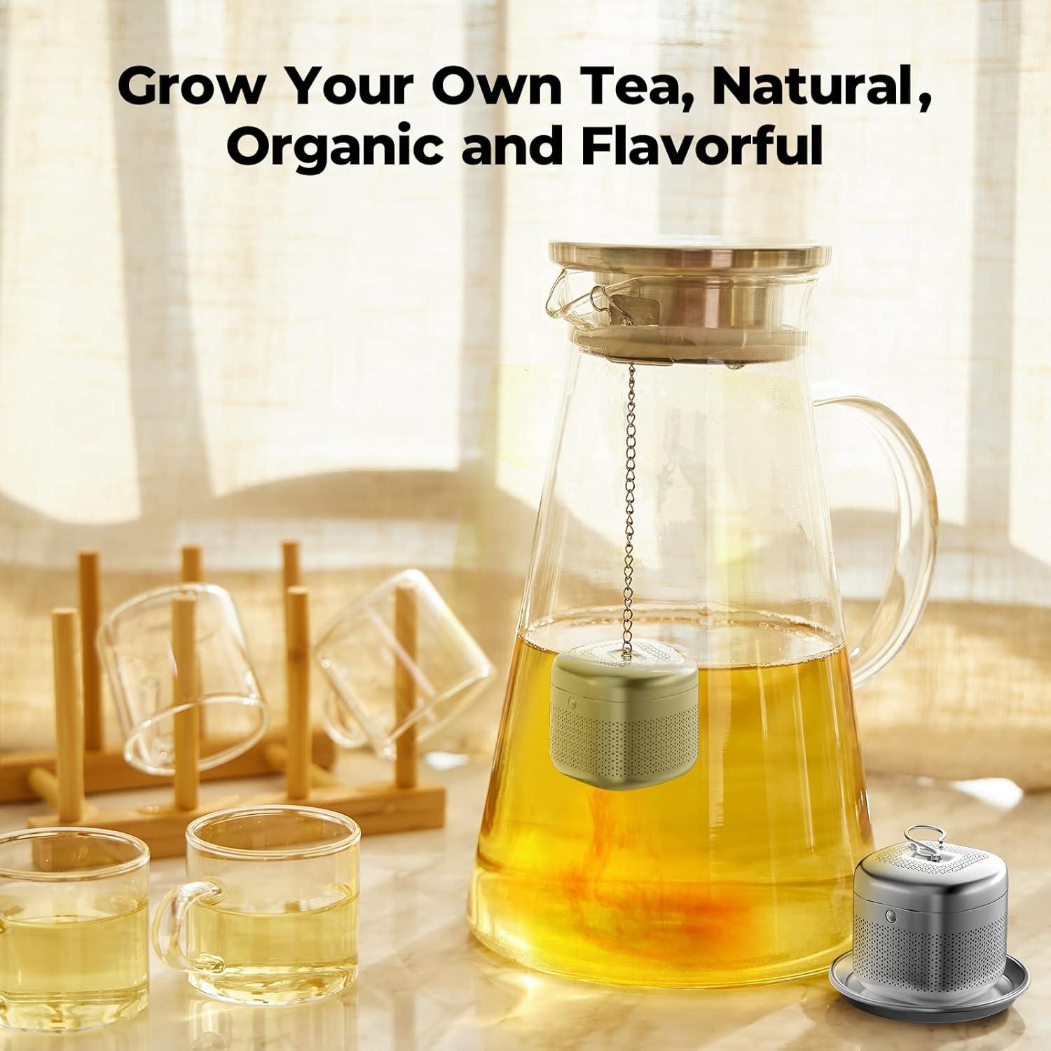 Infusor de Té Reinmoson de Acero Inoxidable 304 con Plato