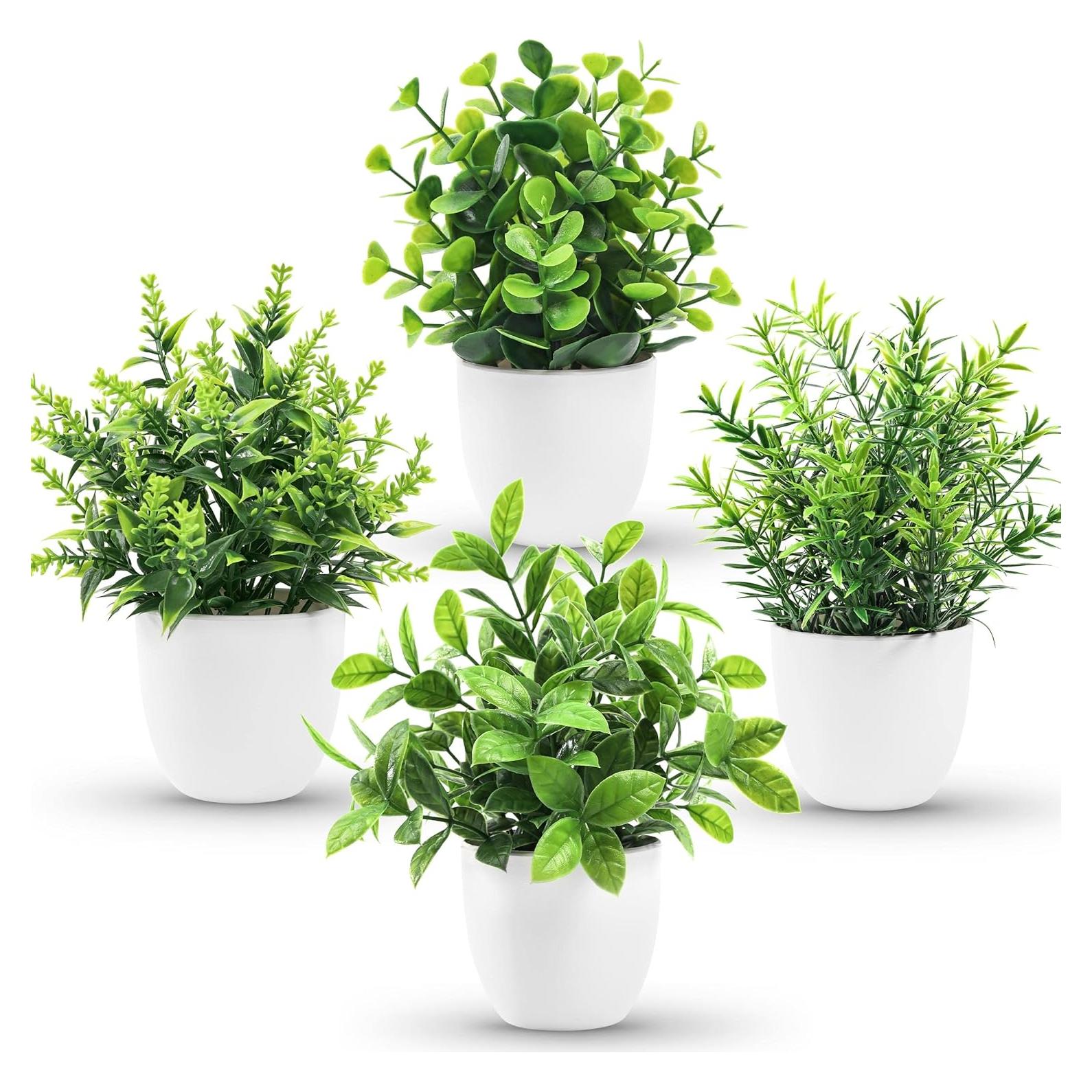 Plantas Falsas Der Rose en Macetas - Paquete de 4 Mini Plantas